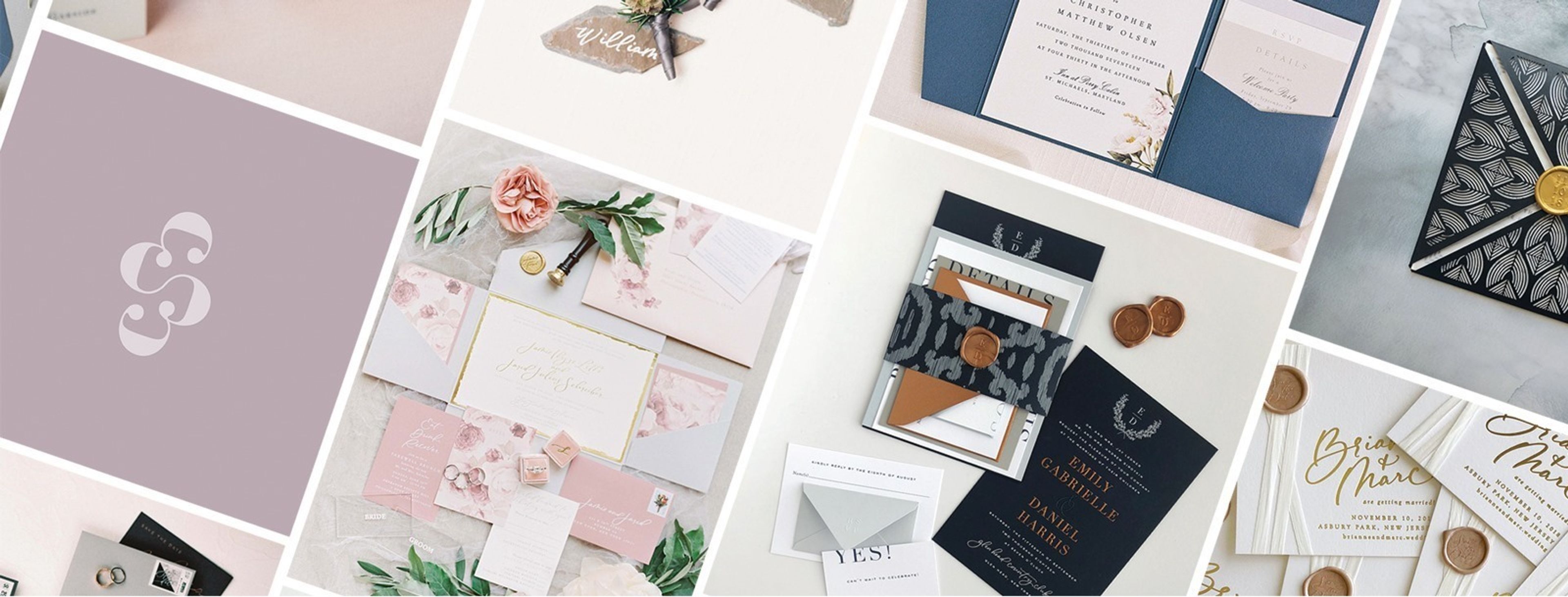 Cover photo of Steph B. and Co