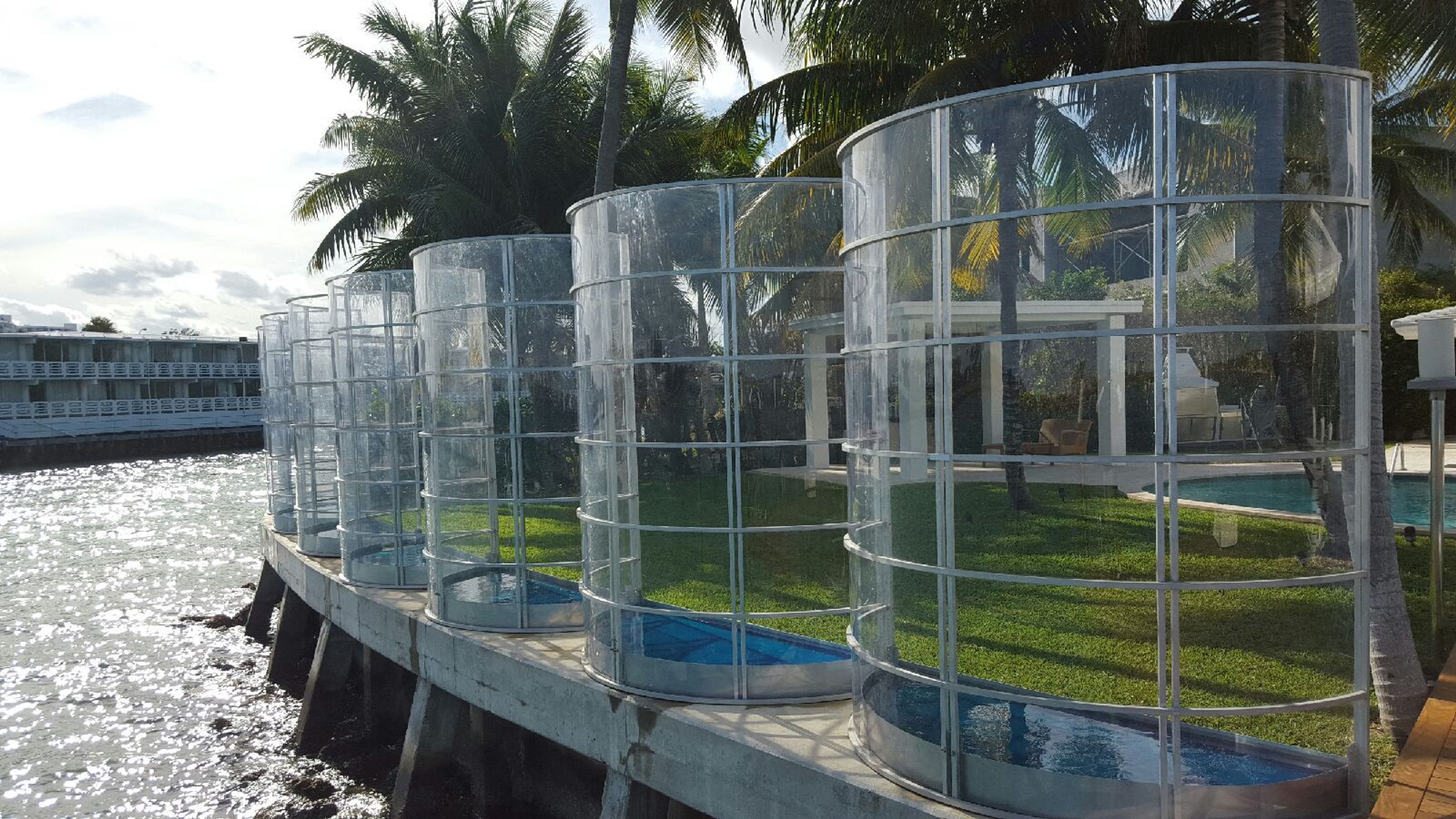 Cover photo of POPUP STRUCTURES