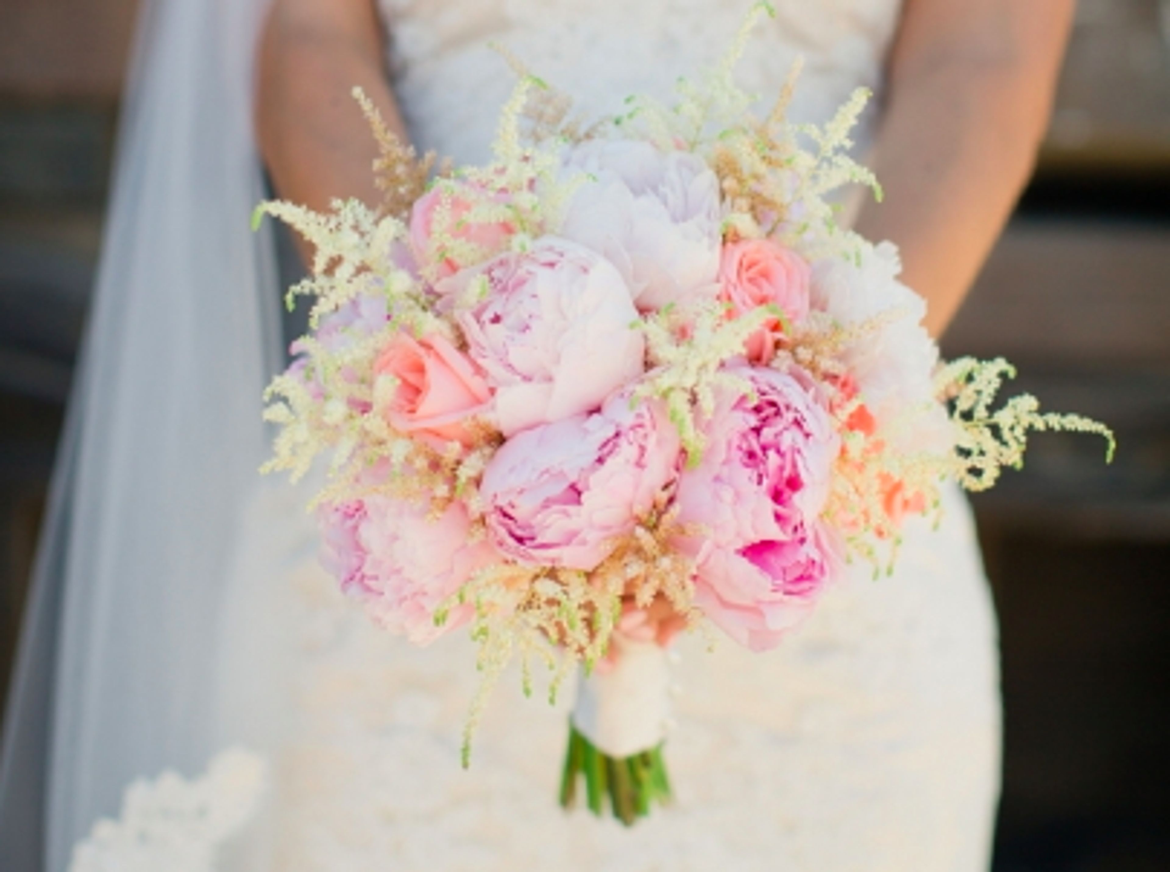 Cover photo of Mazarte floral