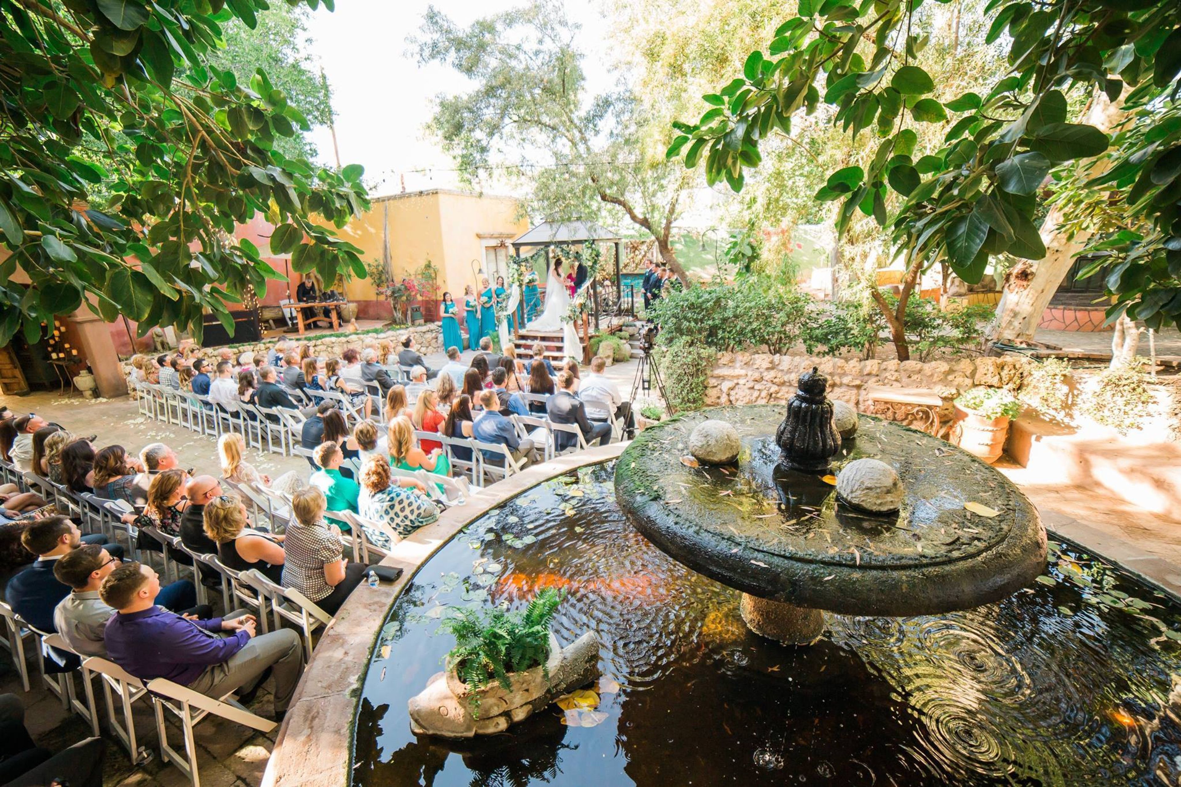 Cover photo of Boojum Tree