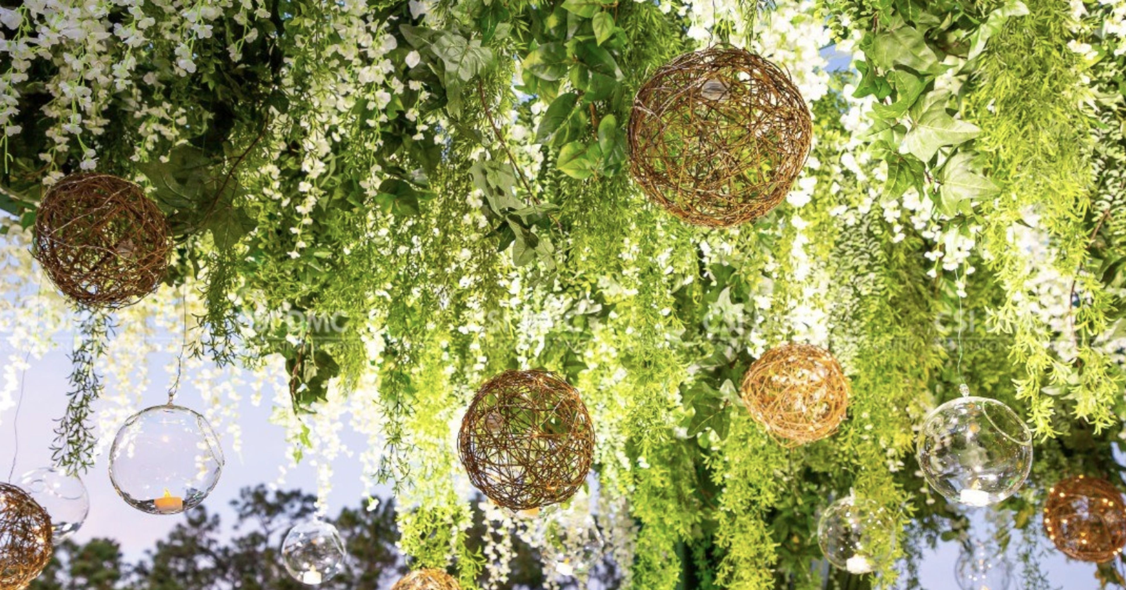 Cover photo of CSI Events Florida