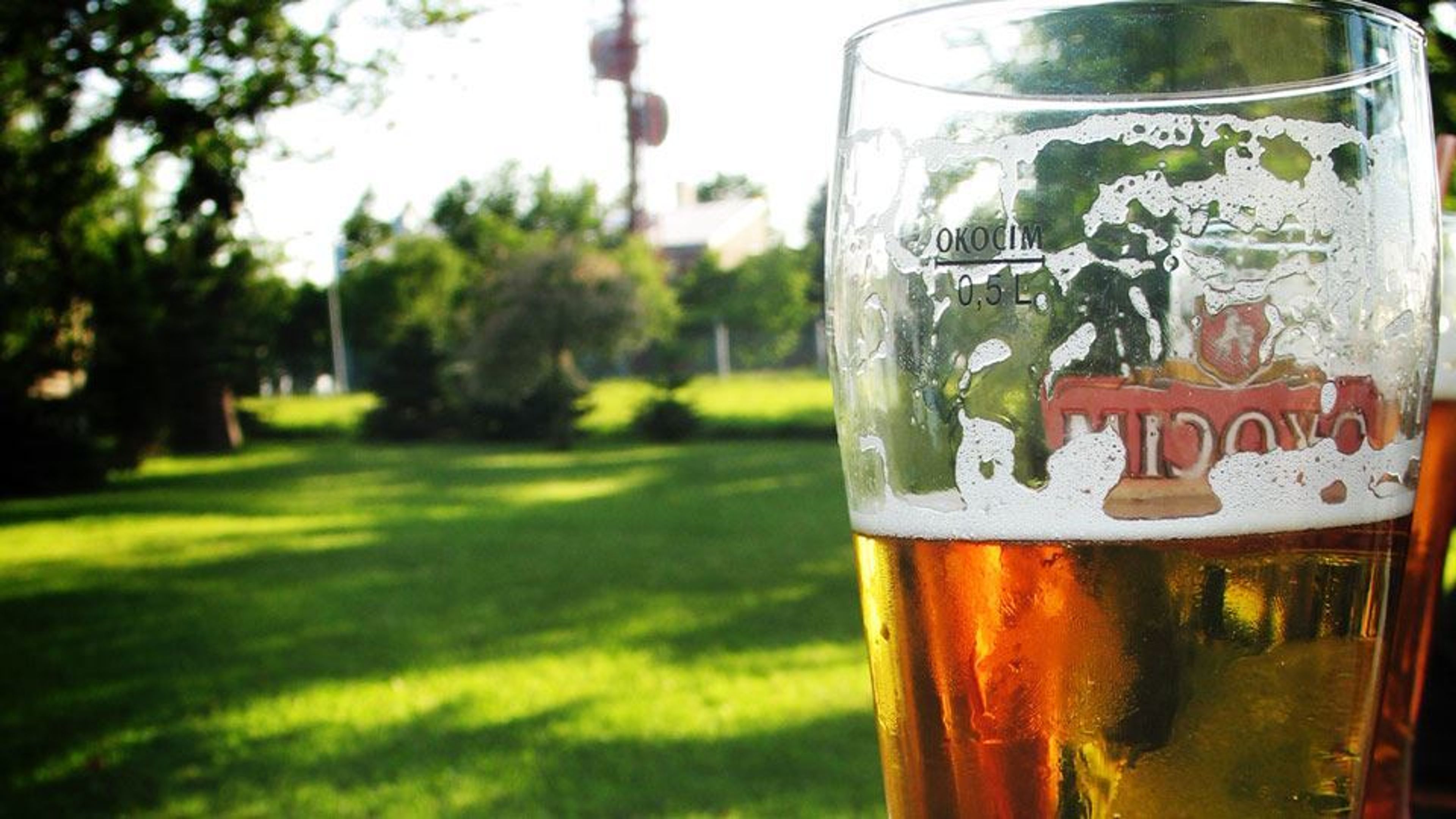 Cover photo of alcohol party catering inc.