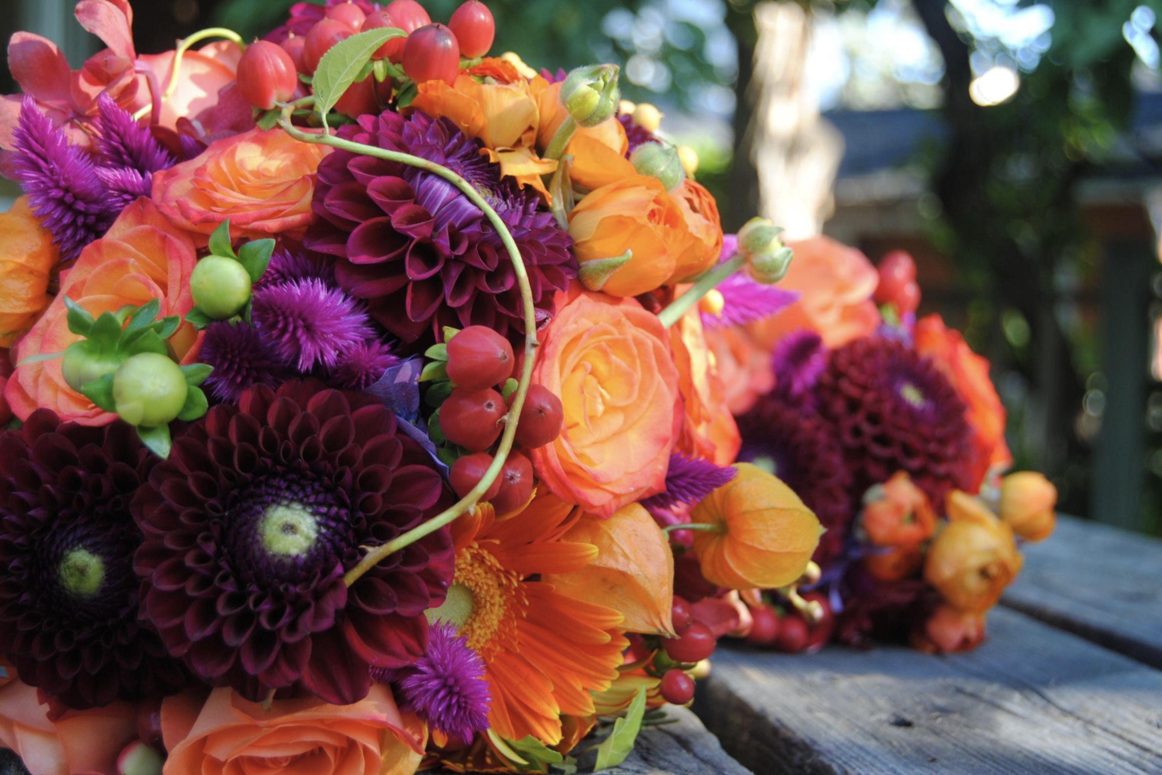 Cover photo of Rebelpetal