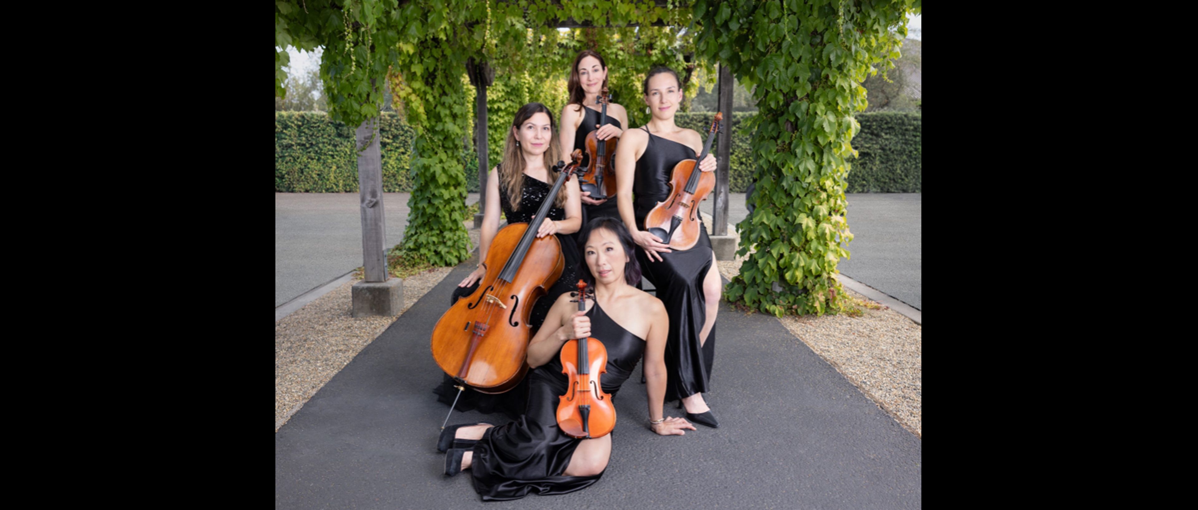 Cover photo of Synchronicity Strings