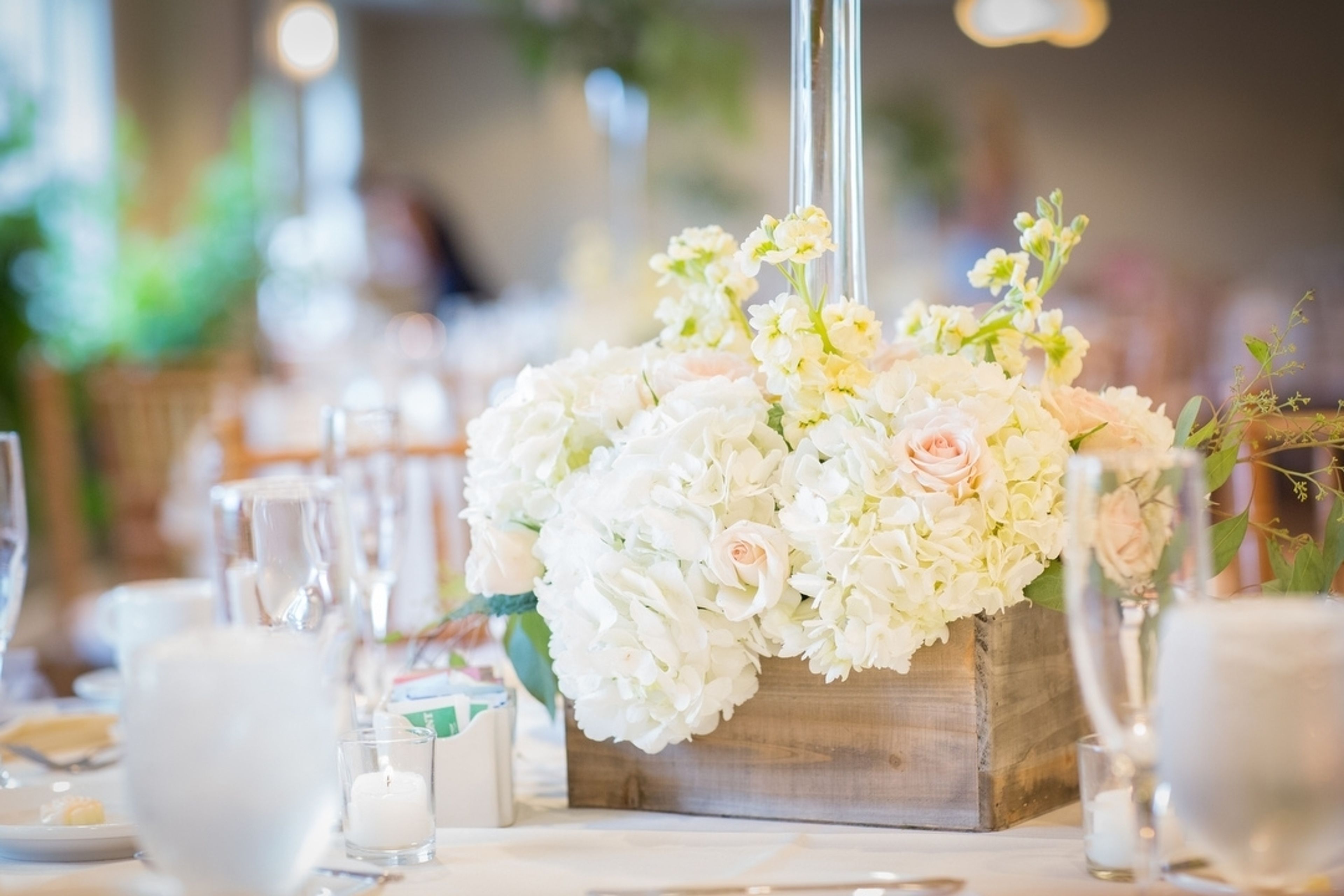 Cover photo of The Painted Tulip Floral Design