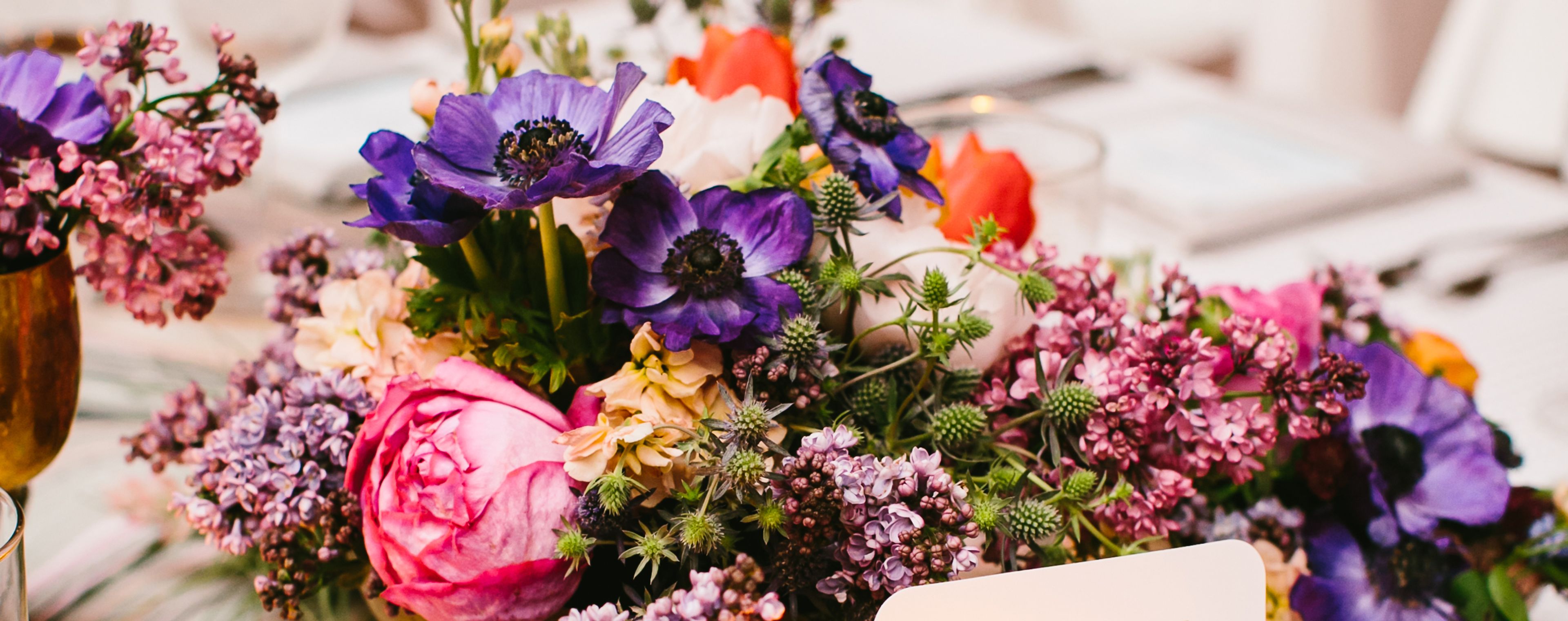 Cover photo of Jayne Weddings