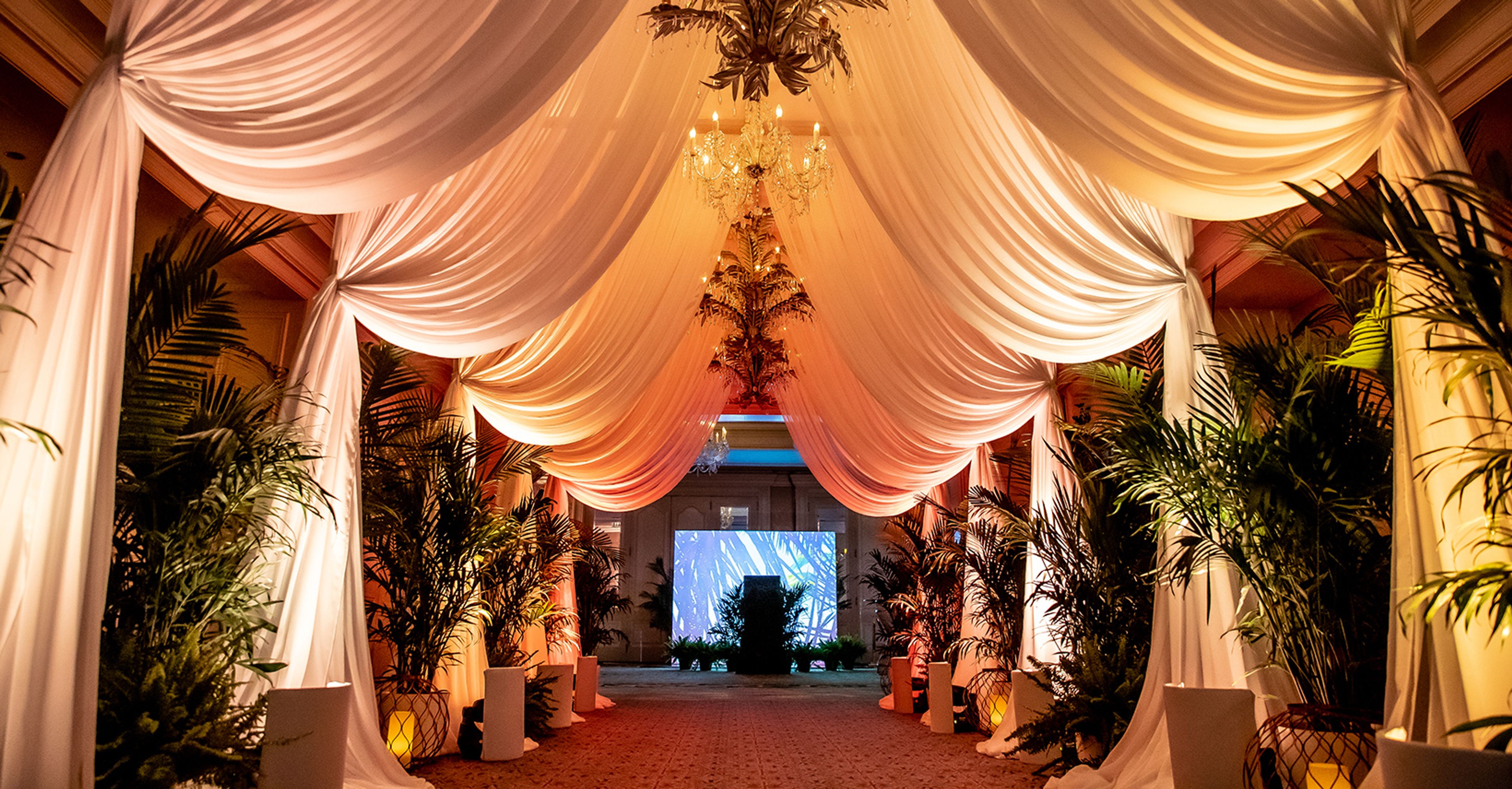 Cover photo of KEHOE DESIGNS