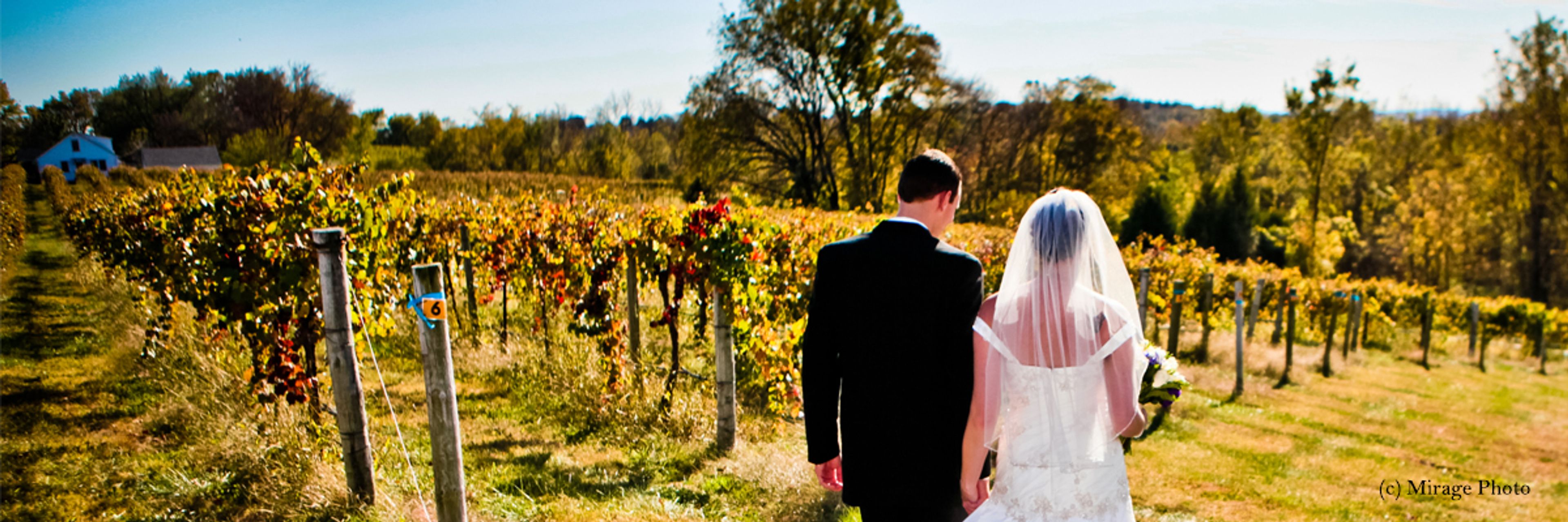 Cover photo of Mount Pleasant Estates Winery & Vineyards