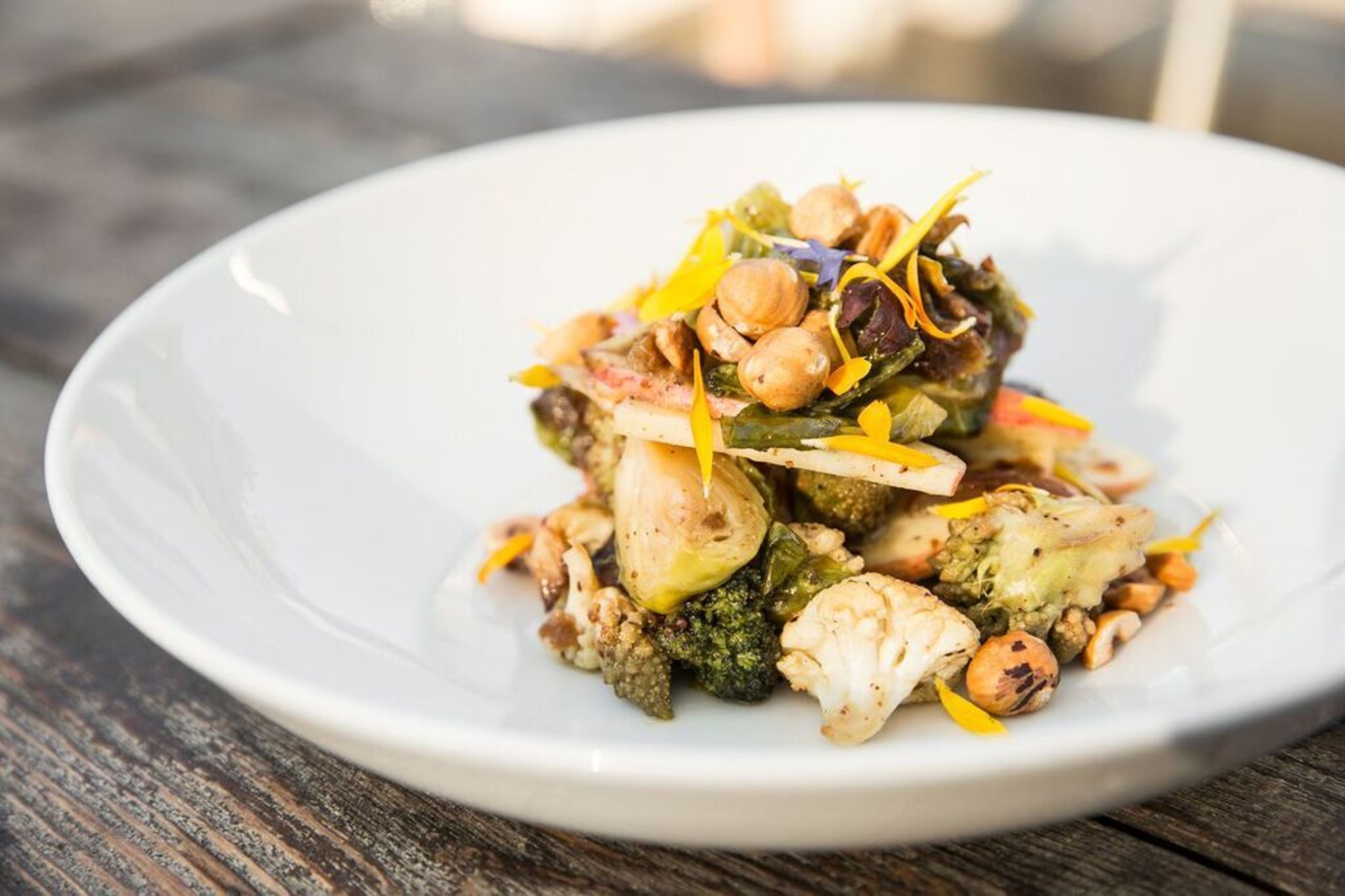 Cover photo of Blackbelly