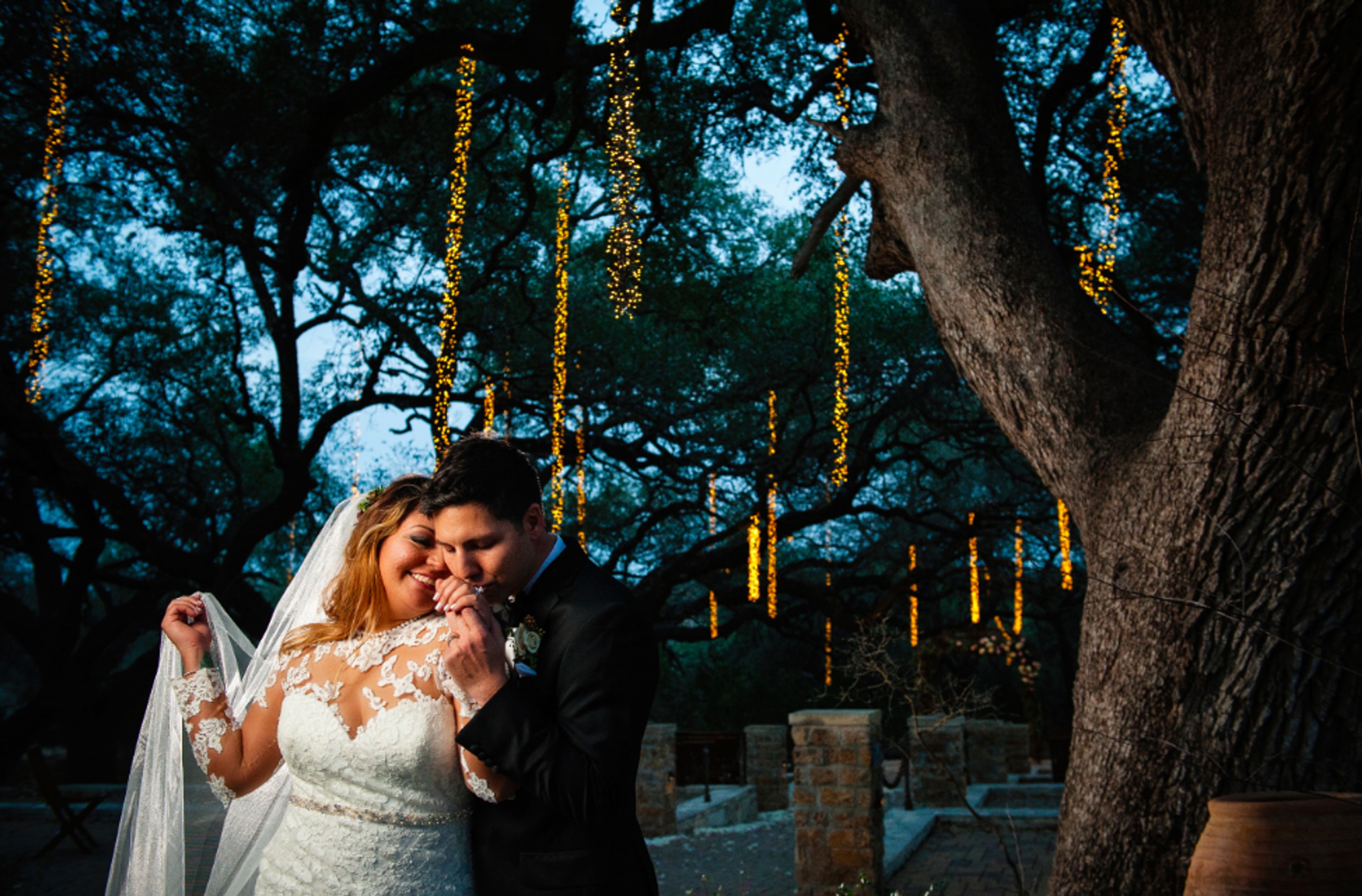 Cover photo of Sun Gold Photography