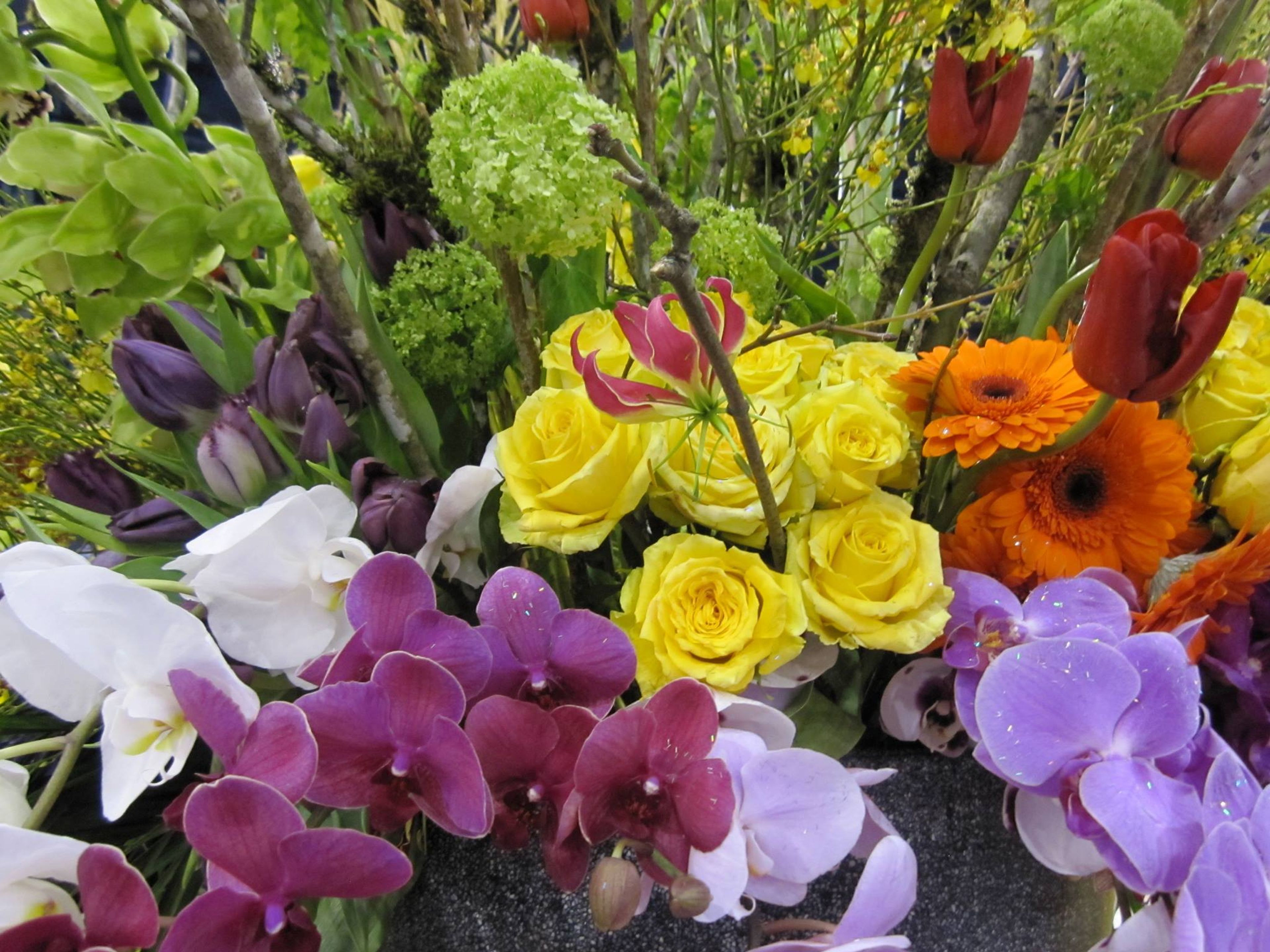 Cover photo of Patra Designs