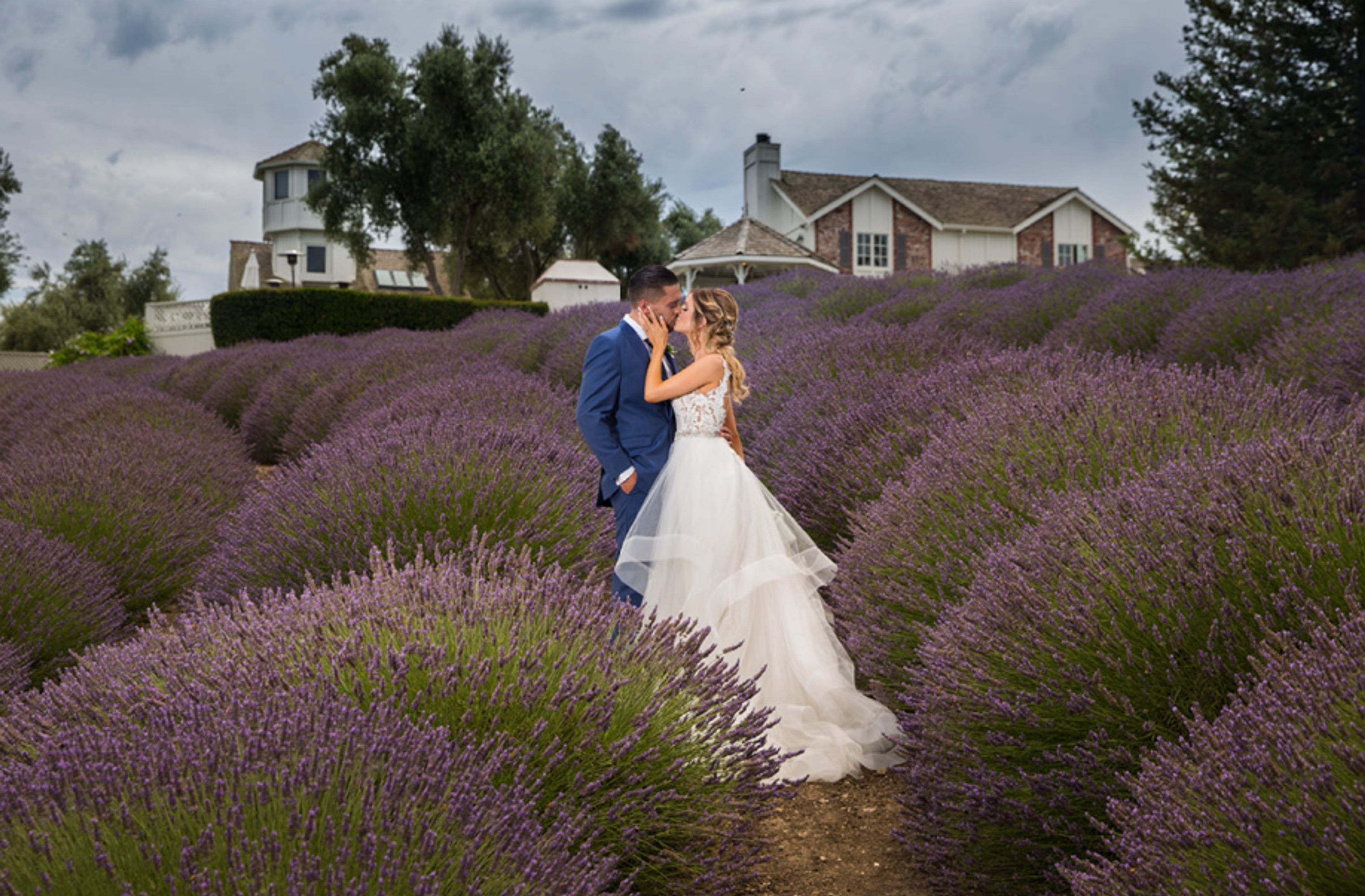 Cover photo of Bogdan Condor Photography