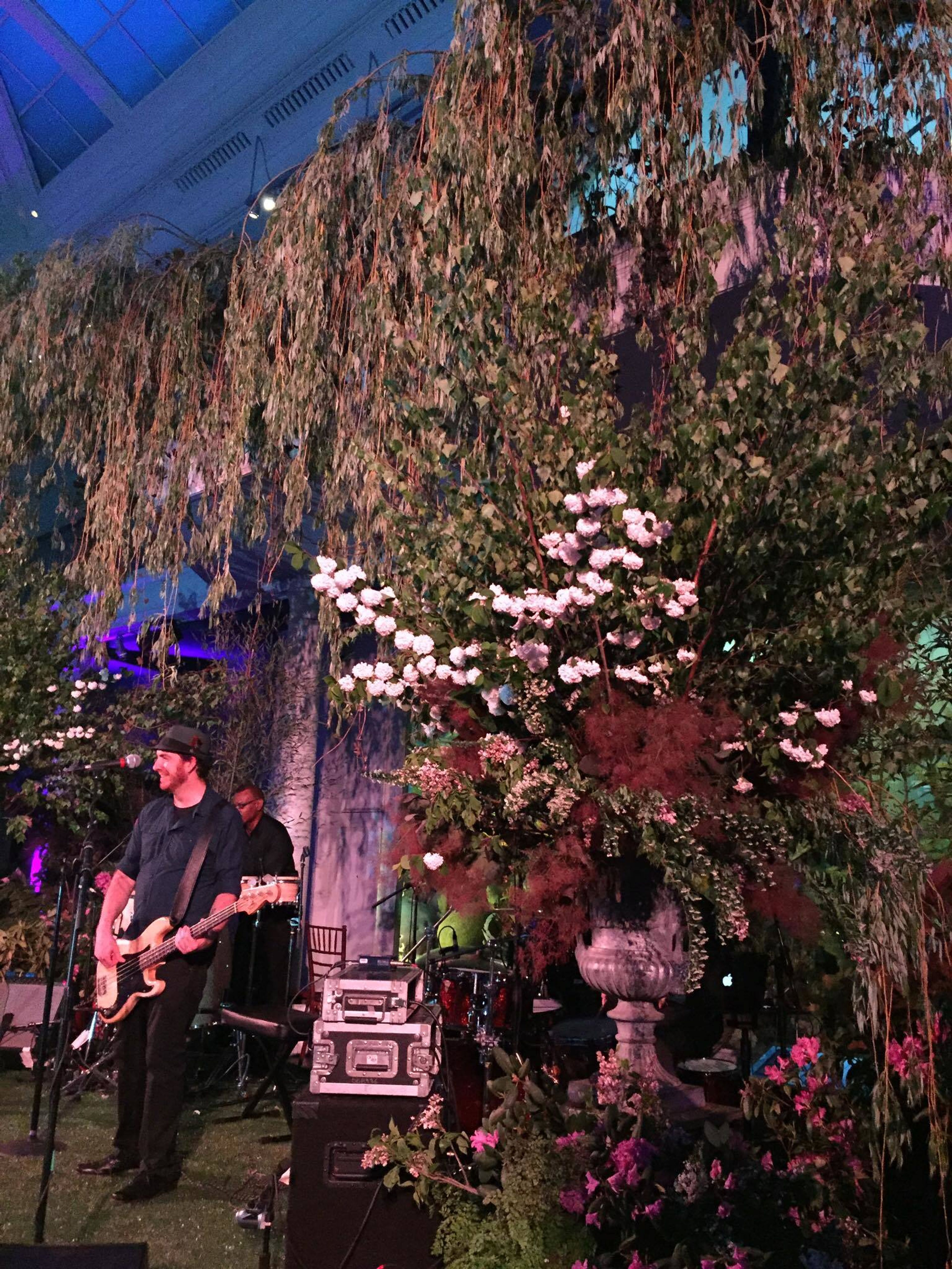 Cover photo of Mille Fiori Flowers & Events