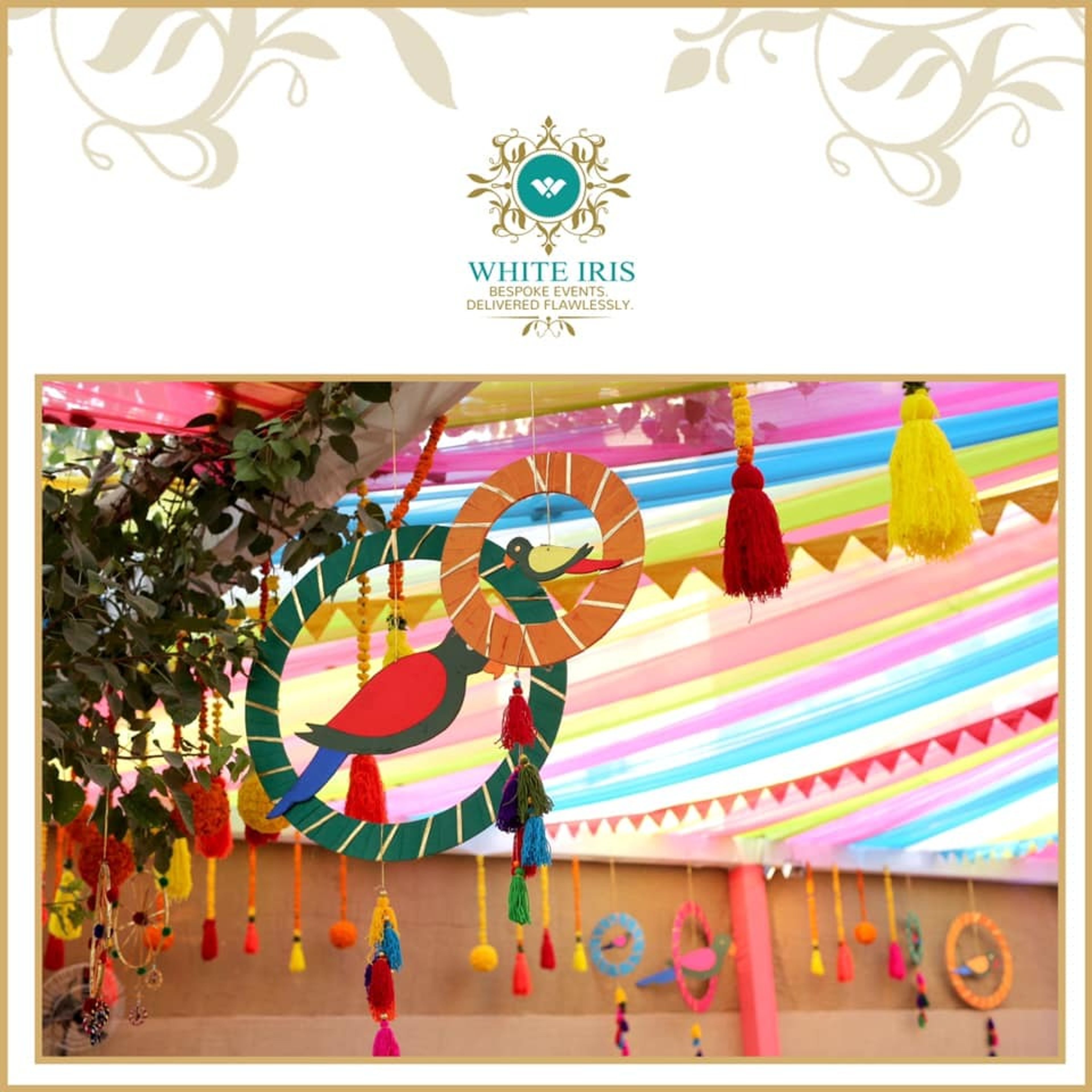 Cover photo of White Iris