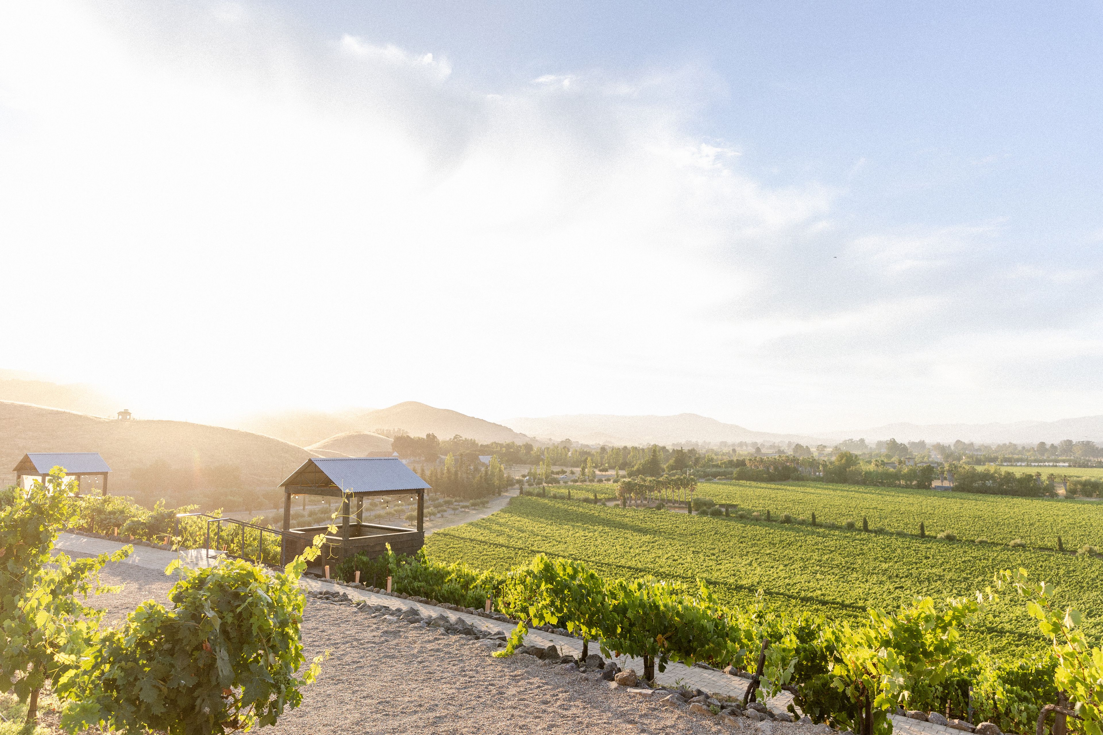 Cover photo of Viansa Winery