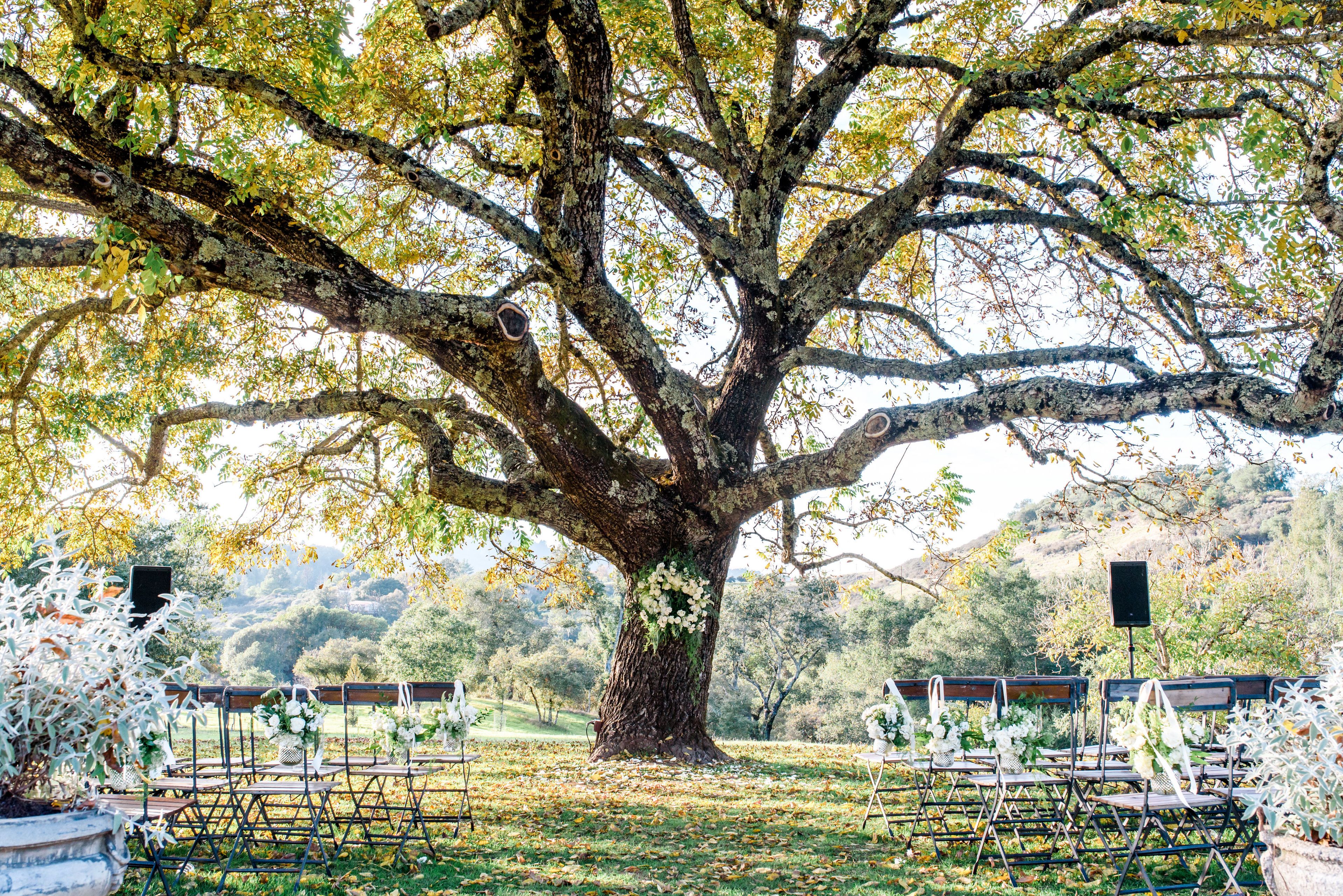 Cover photo of Kate Whelan Events