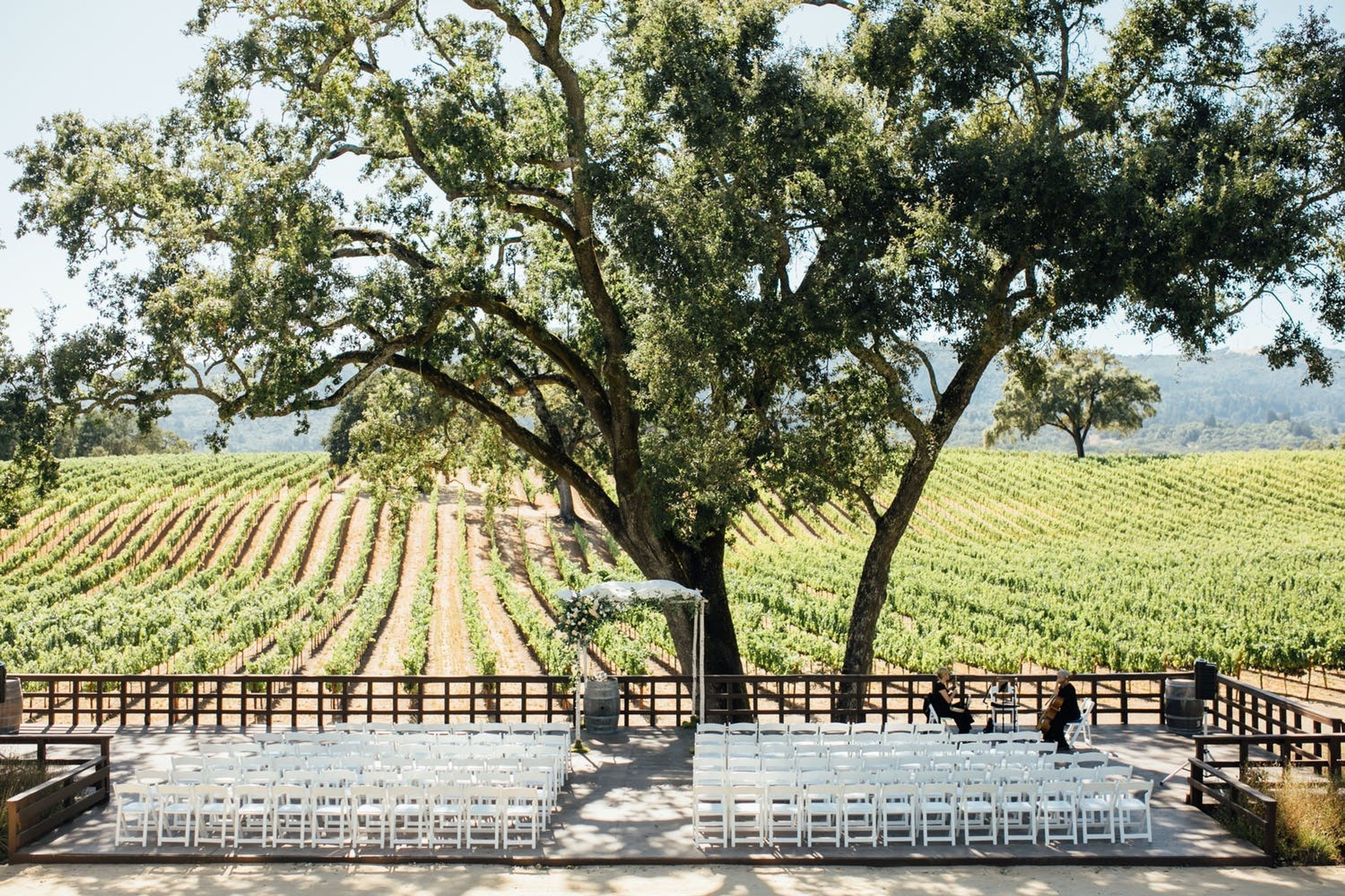 Cover photo of B.R. Cohn Winery