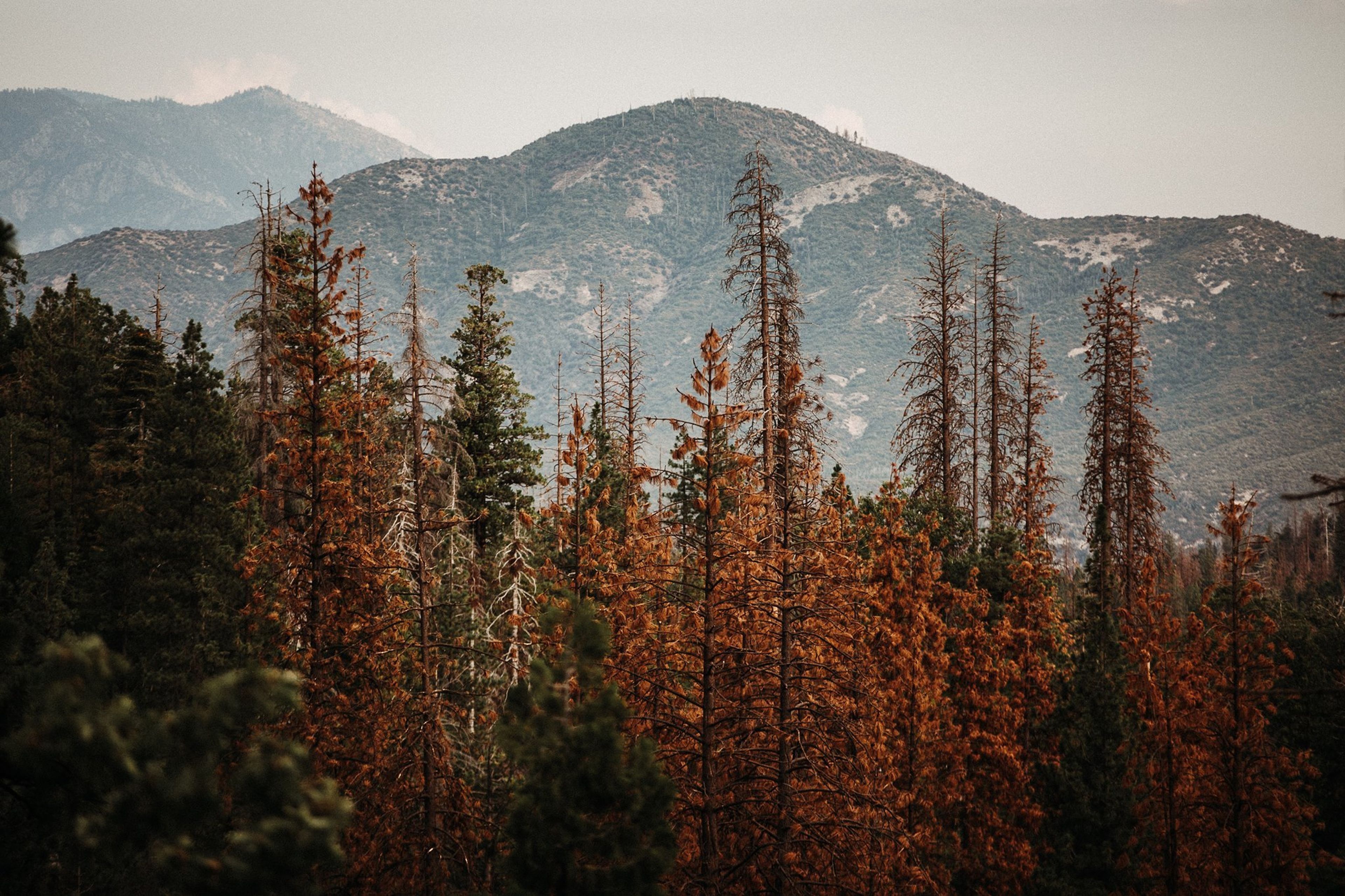 Cover photo of Emily Rammelsberg