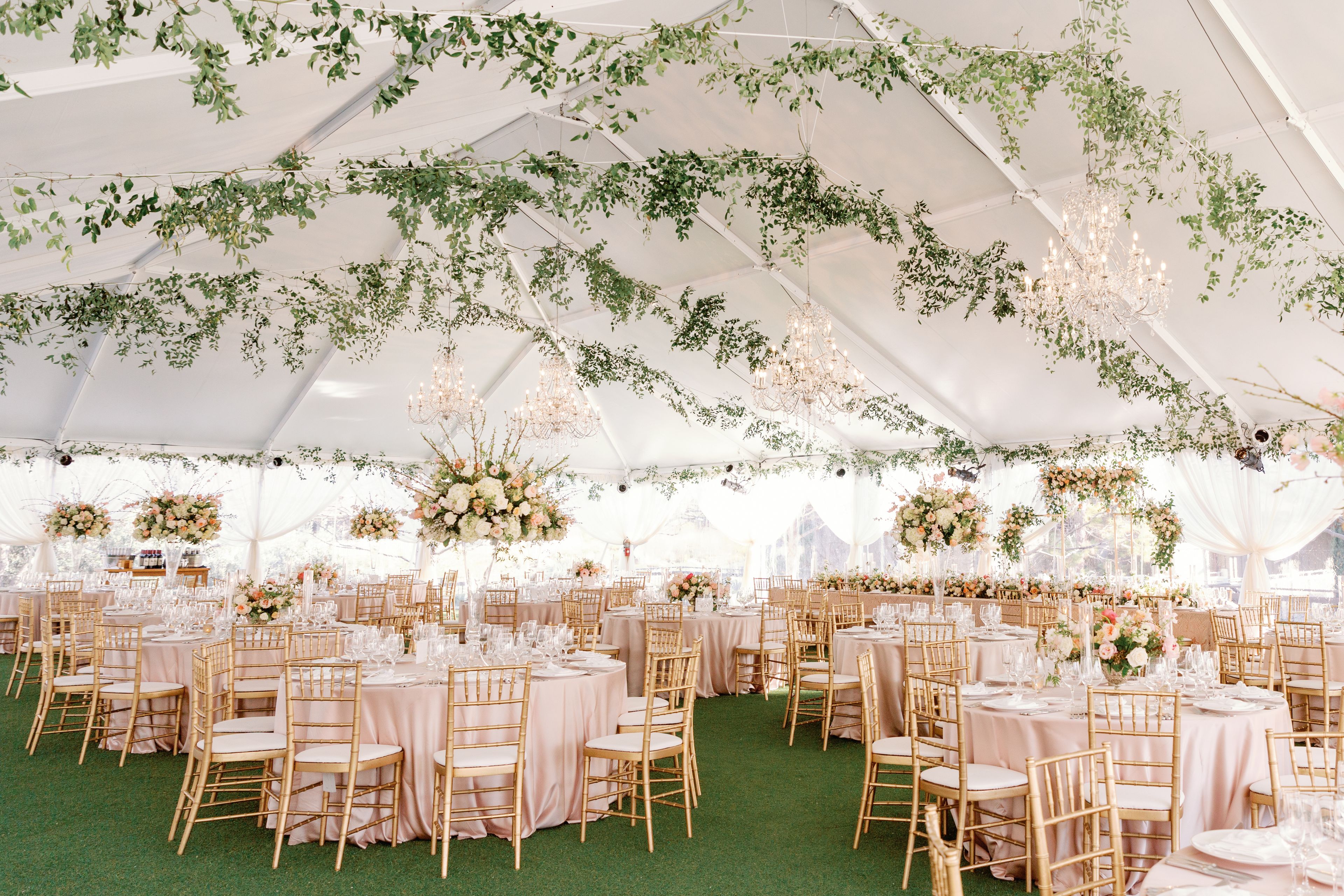 Cover photo of Amazáe Events Inc