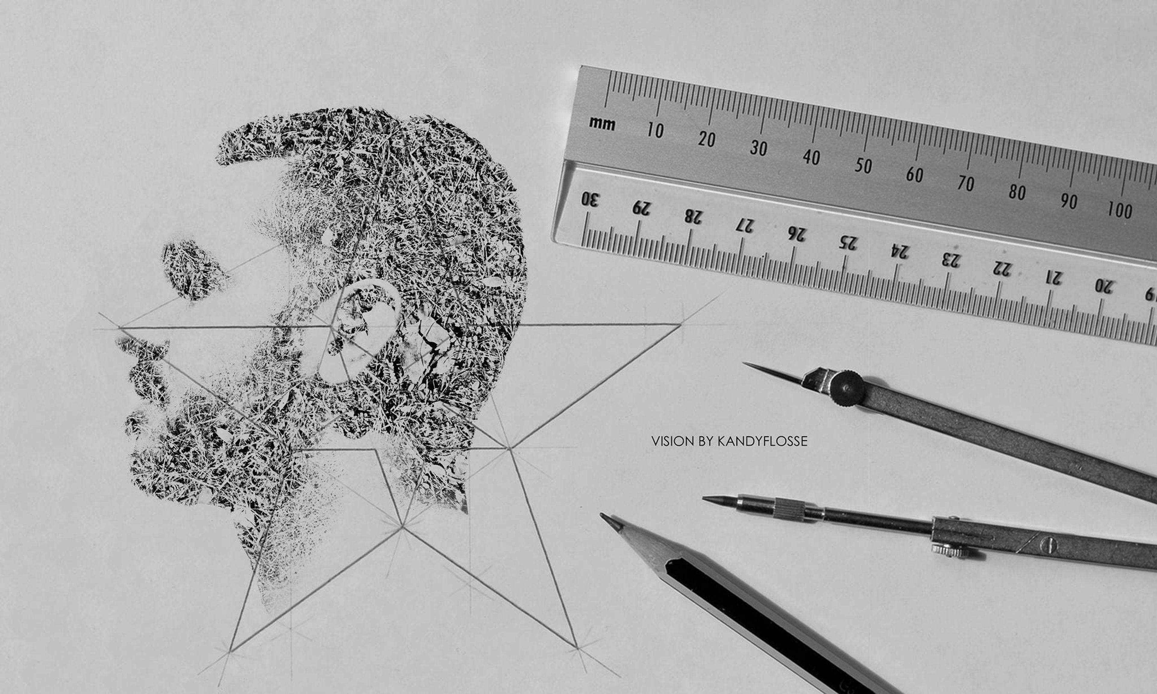 Cover photo of Kandyflosse