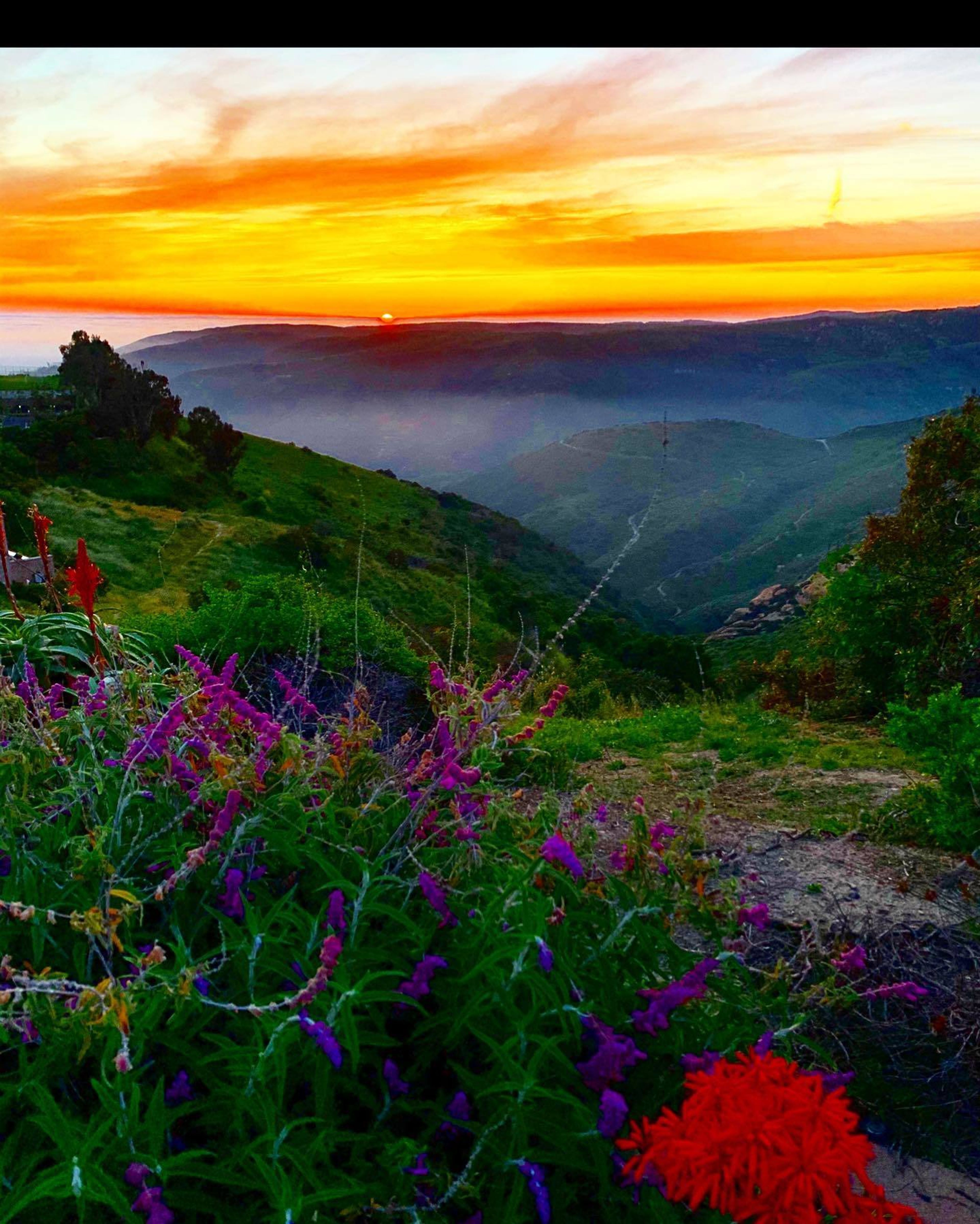 Cover photo of Tony Florez Photography