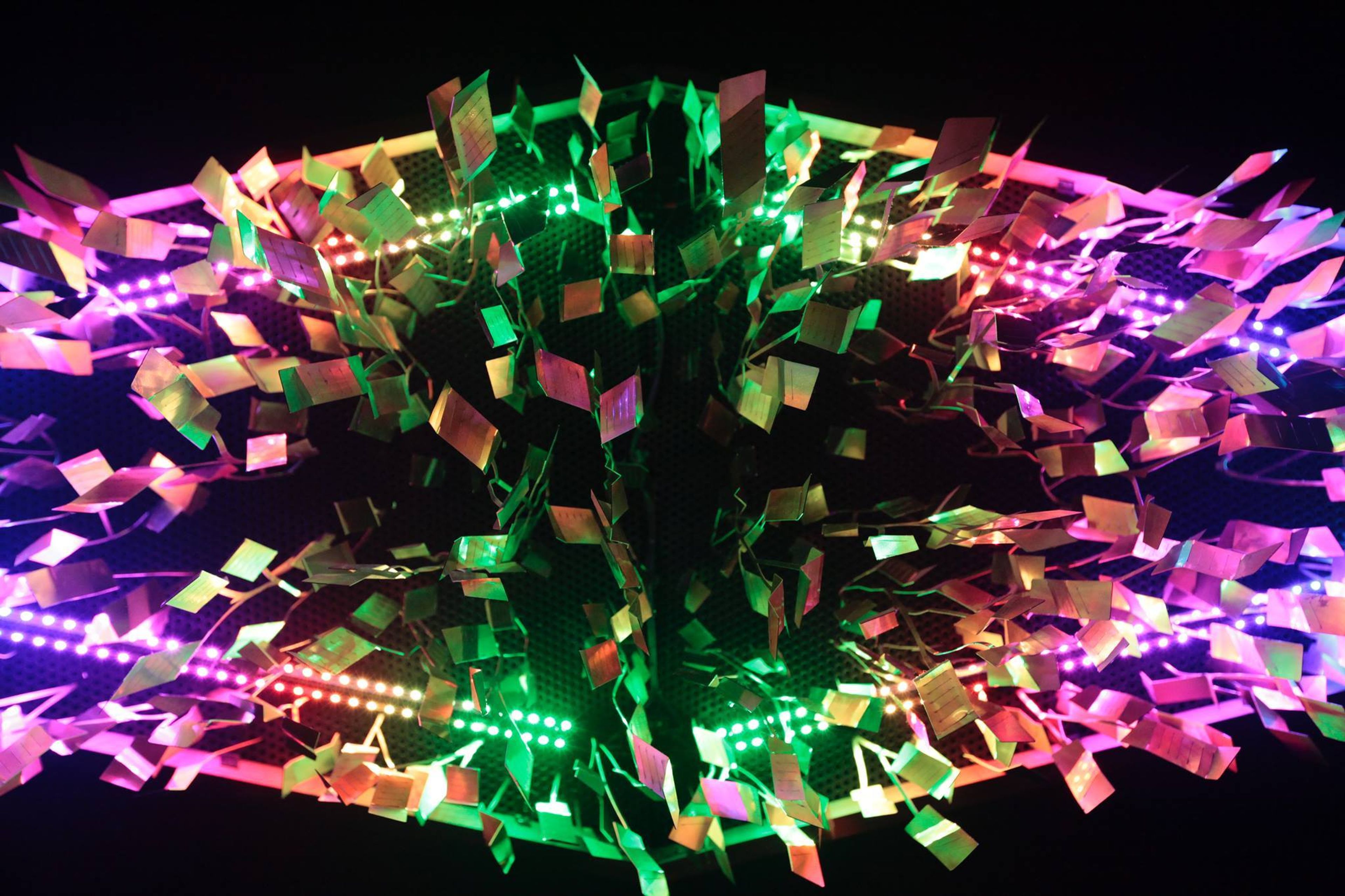 Cover photo of Dandy Lions Media