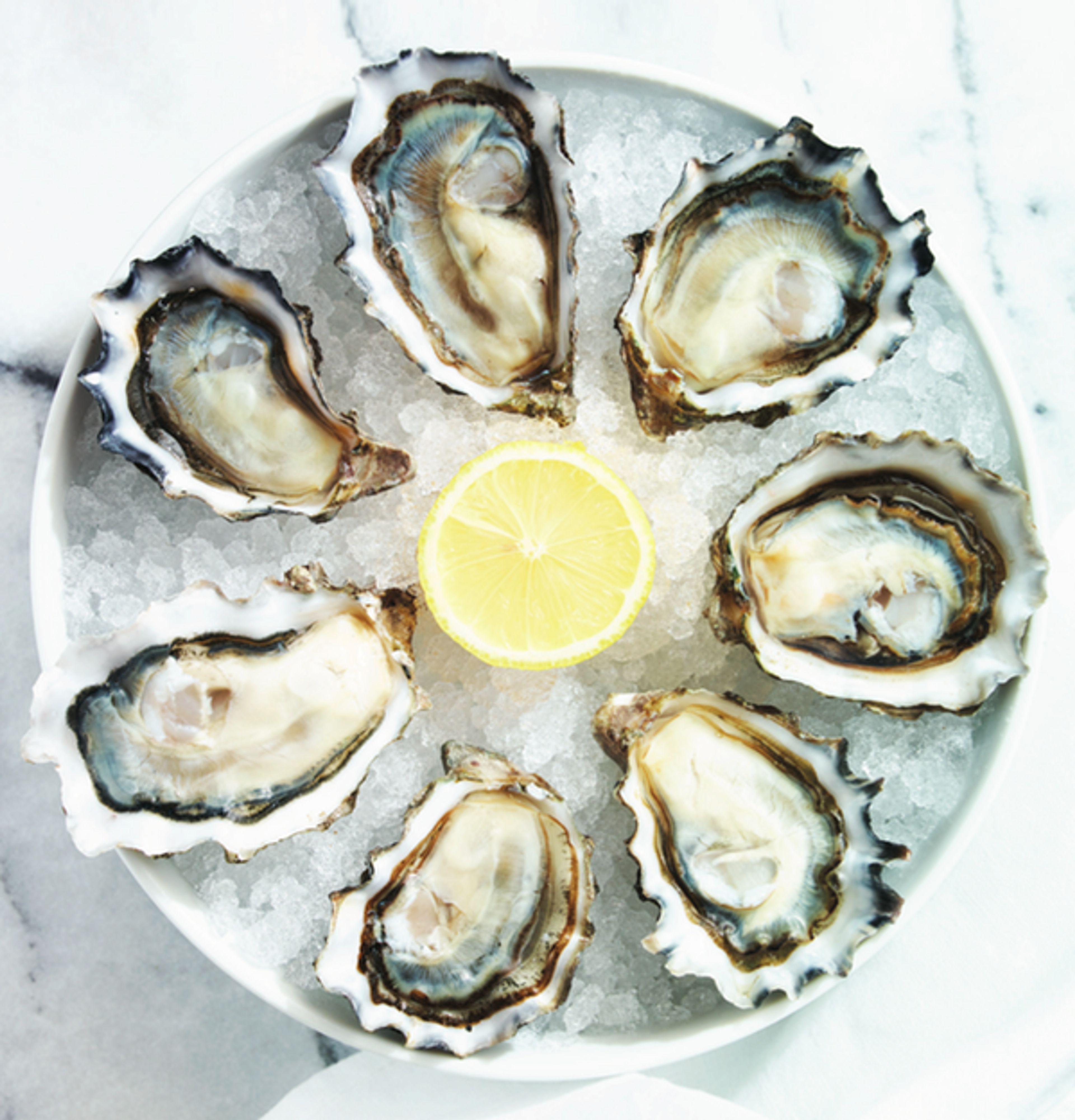 Cover photo of Harvest & Revel