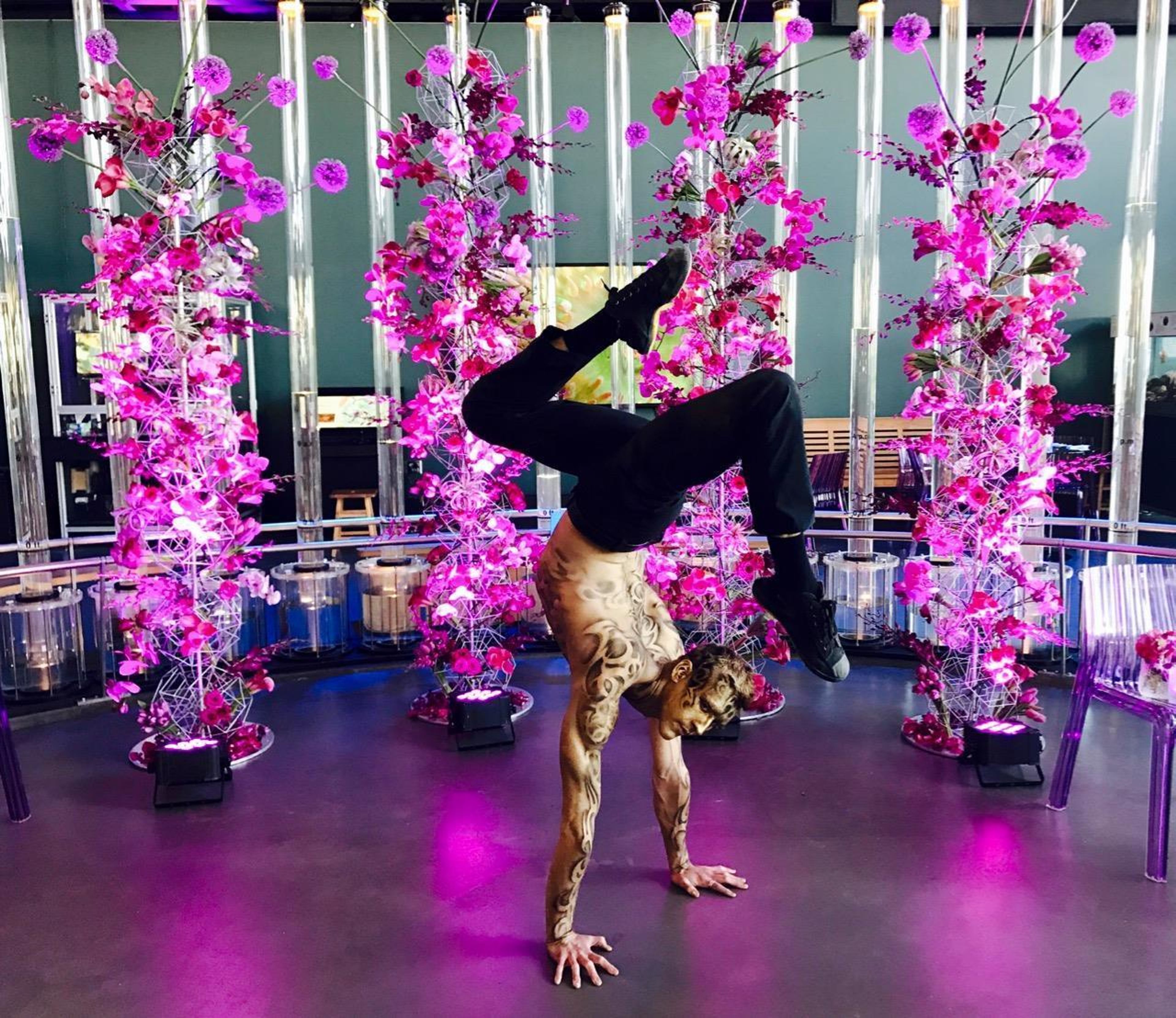 Cover photo of Earth Circus Productions