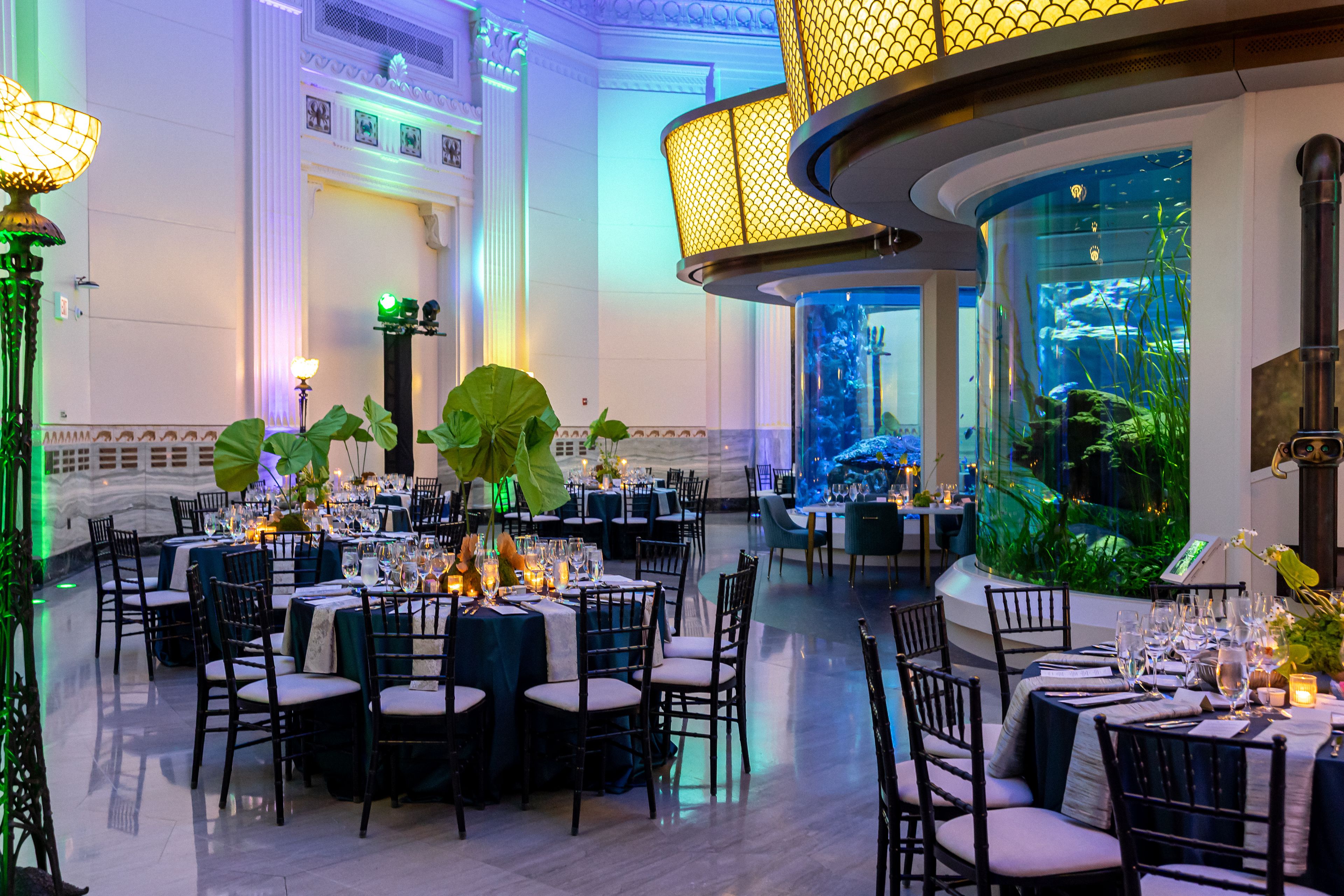 Cover photo of Shedd Aquarium