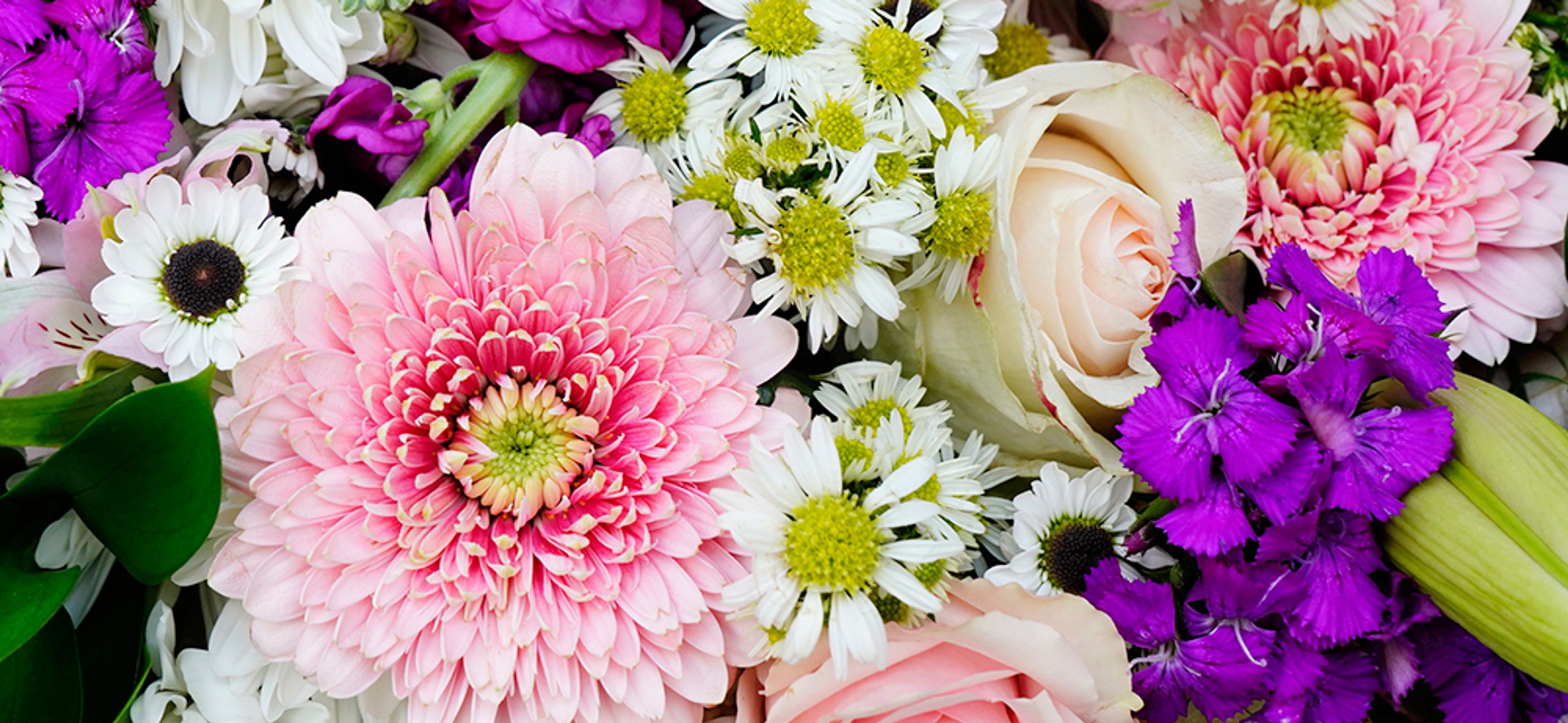 Cover photo of Farm Exports