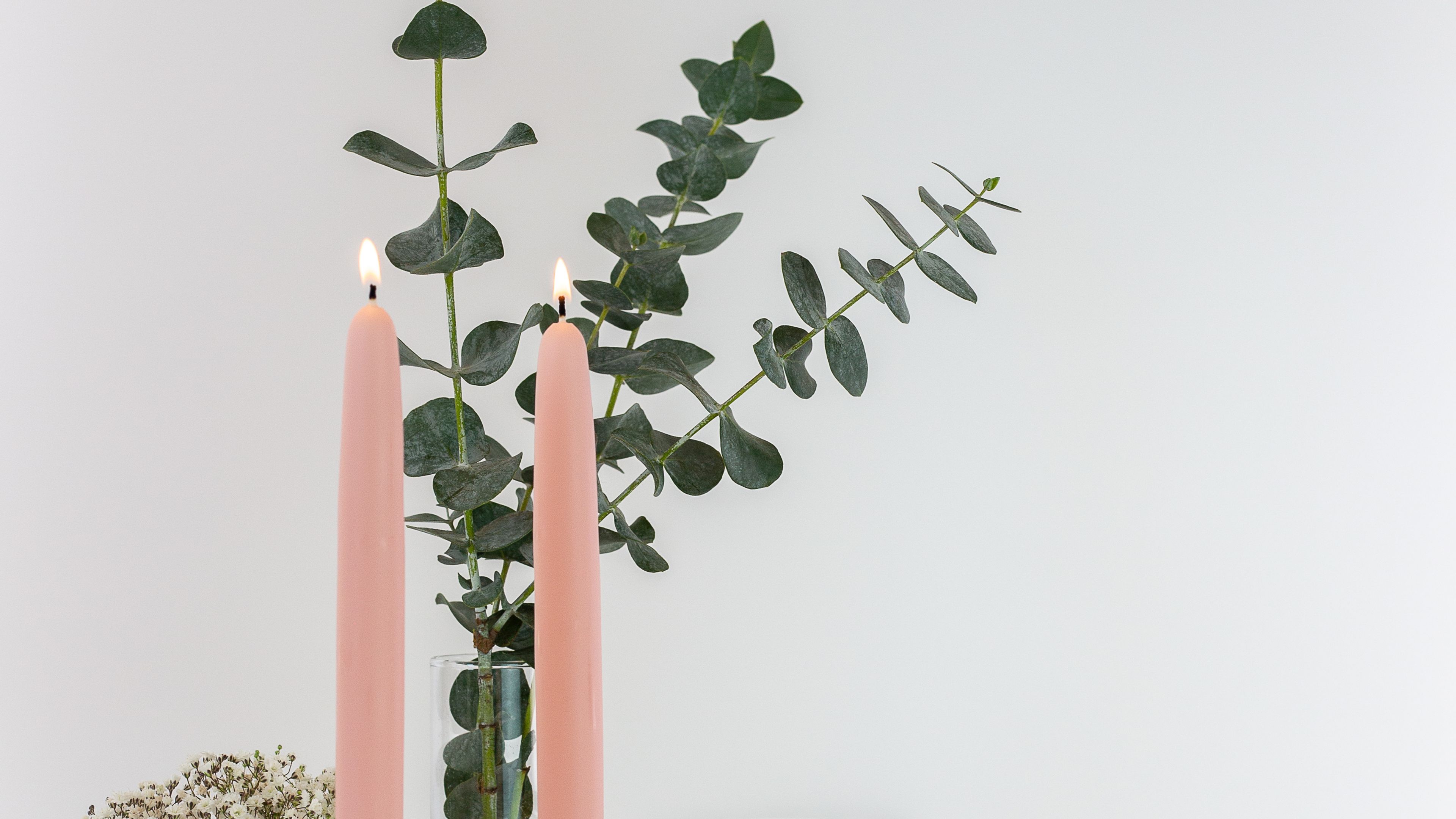 Cover photo of Mo&Co Home