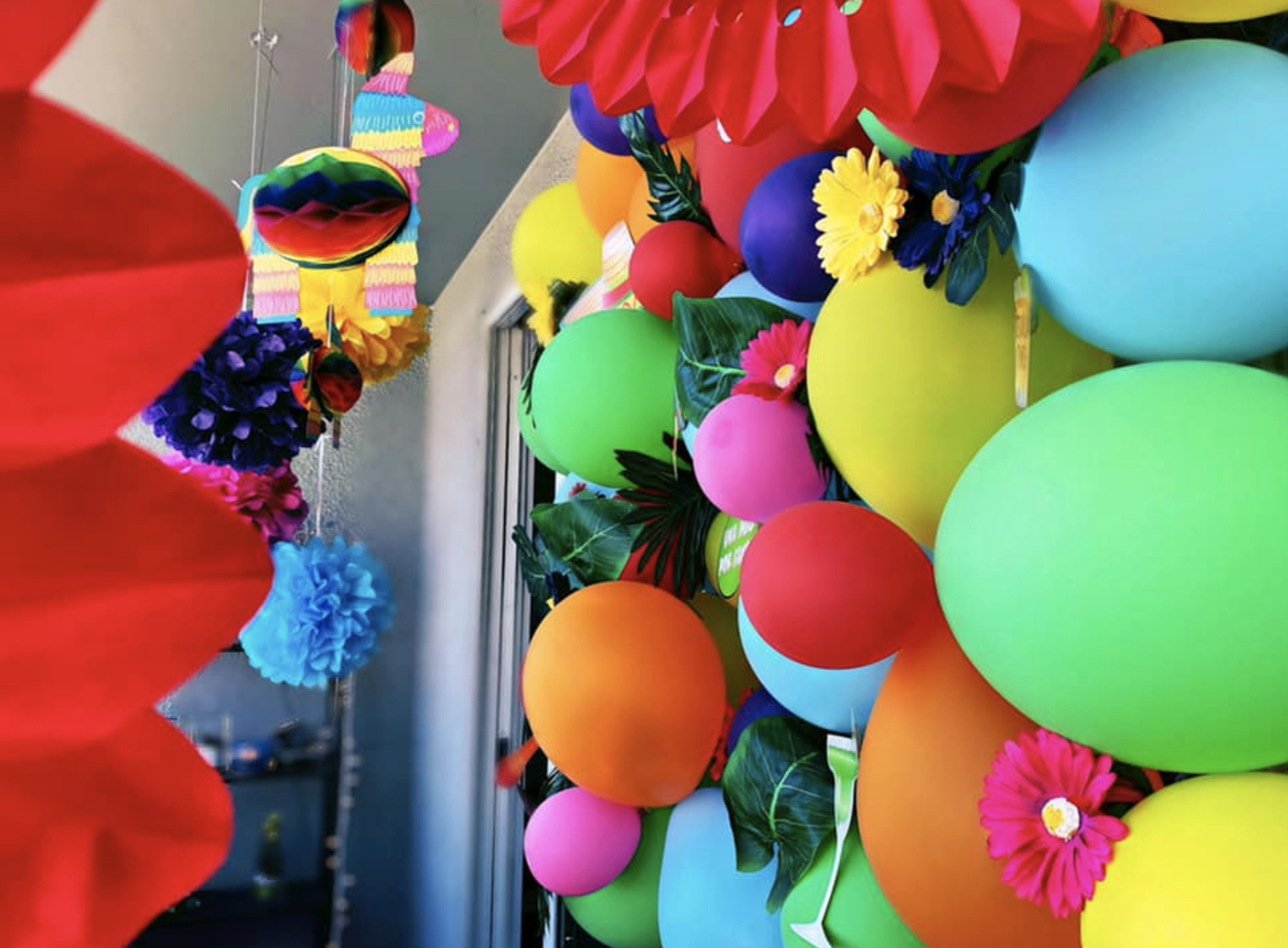 Cover photo of T'estimo