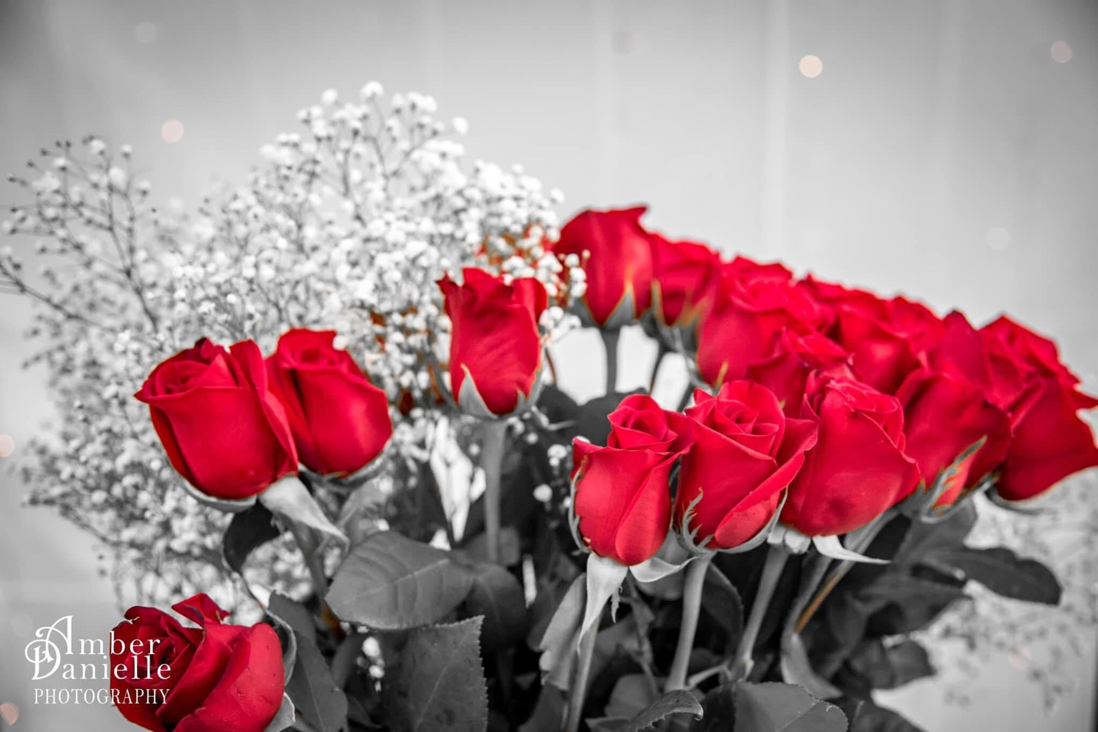 Cover photo of Amber Danielle Photography