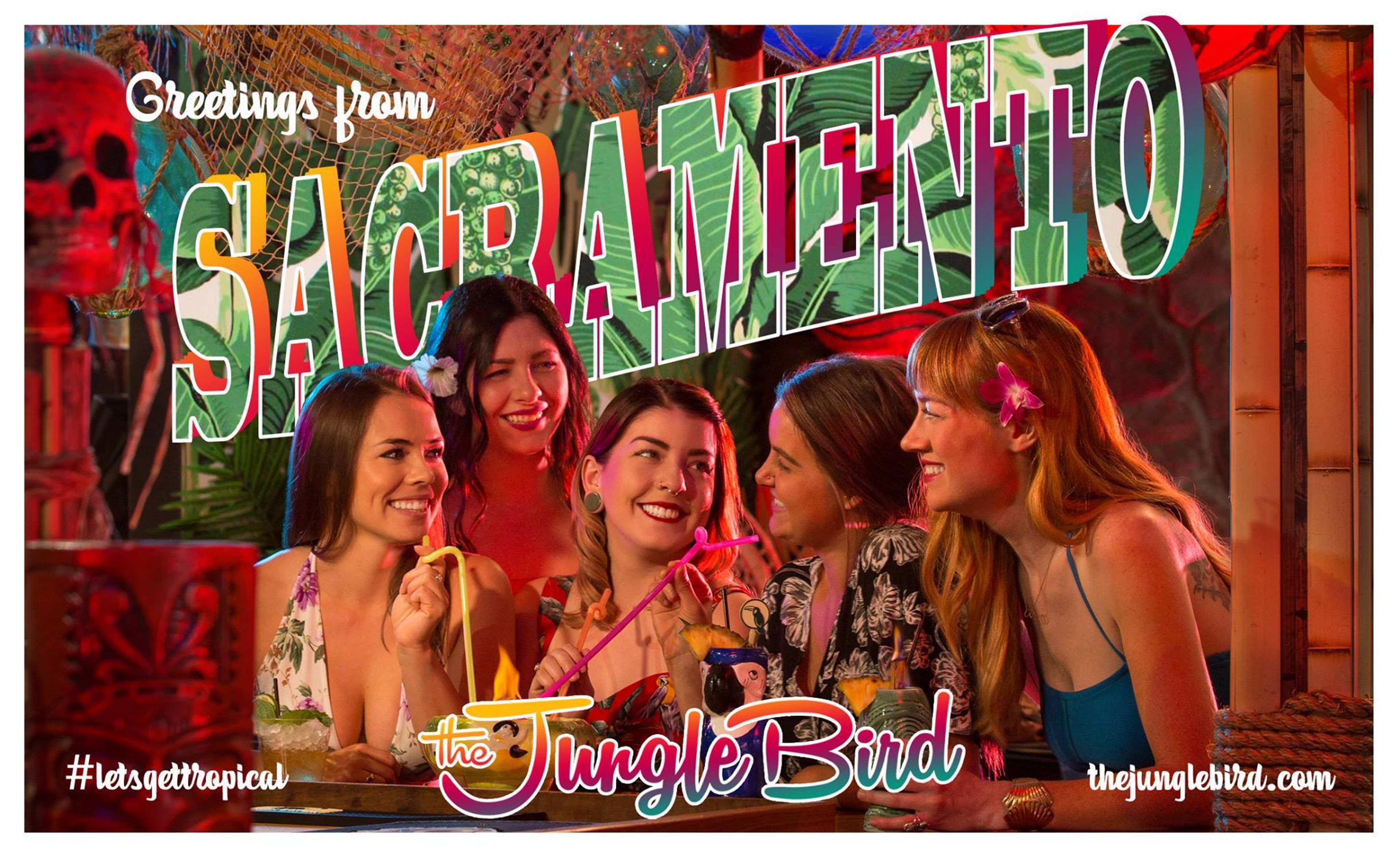 Cover photo of The Jungle Bird