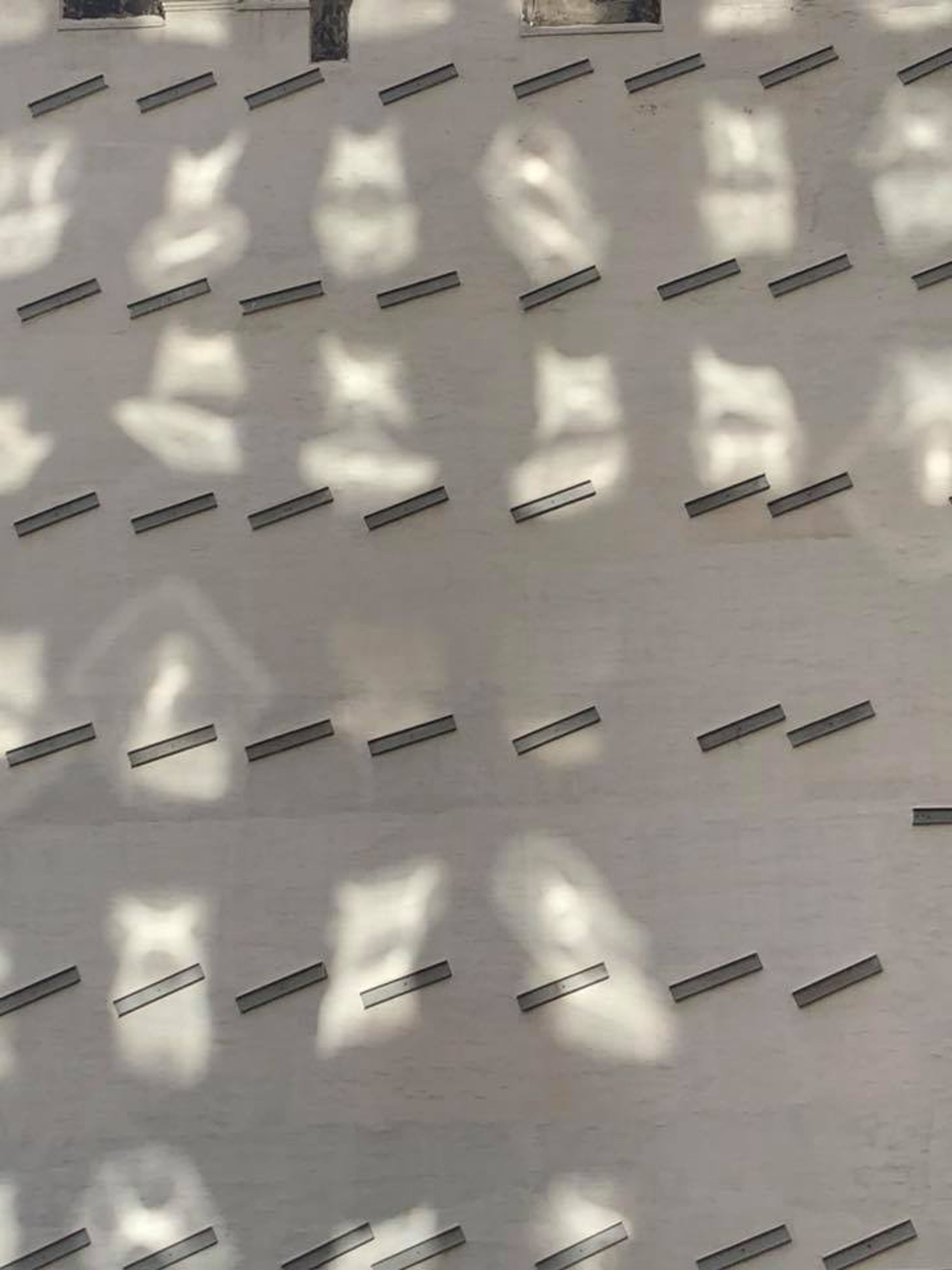 Cover photo of Briana Balducci