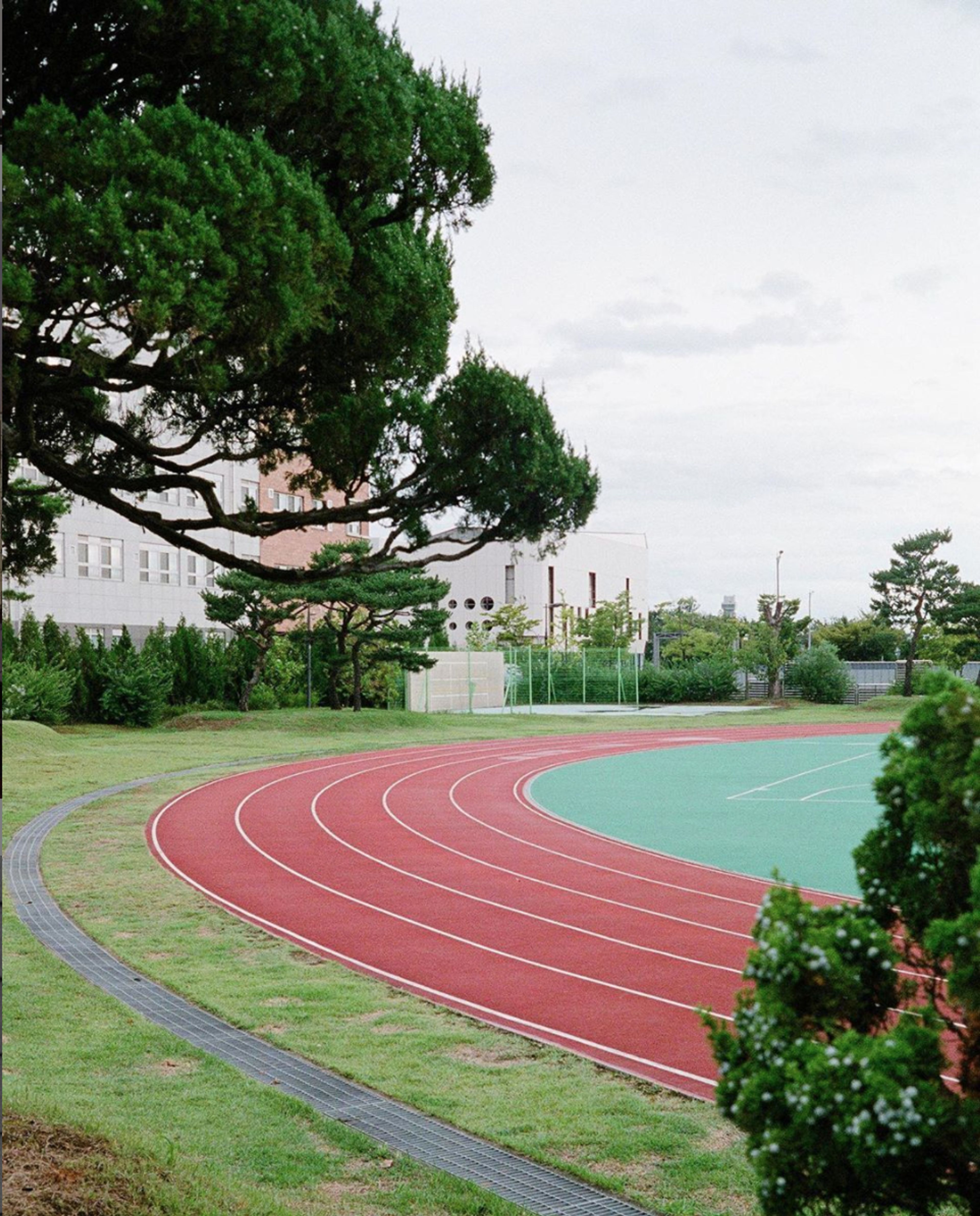 Cover photo of Paulsta