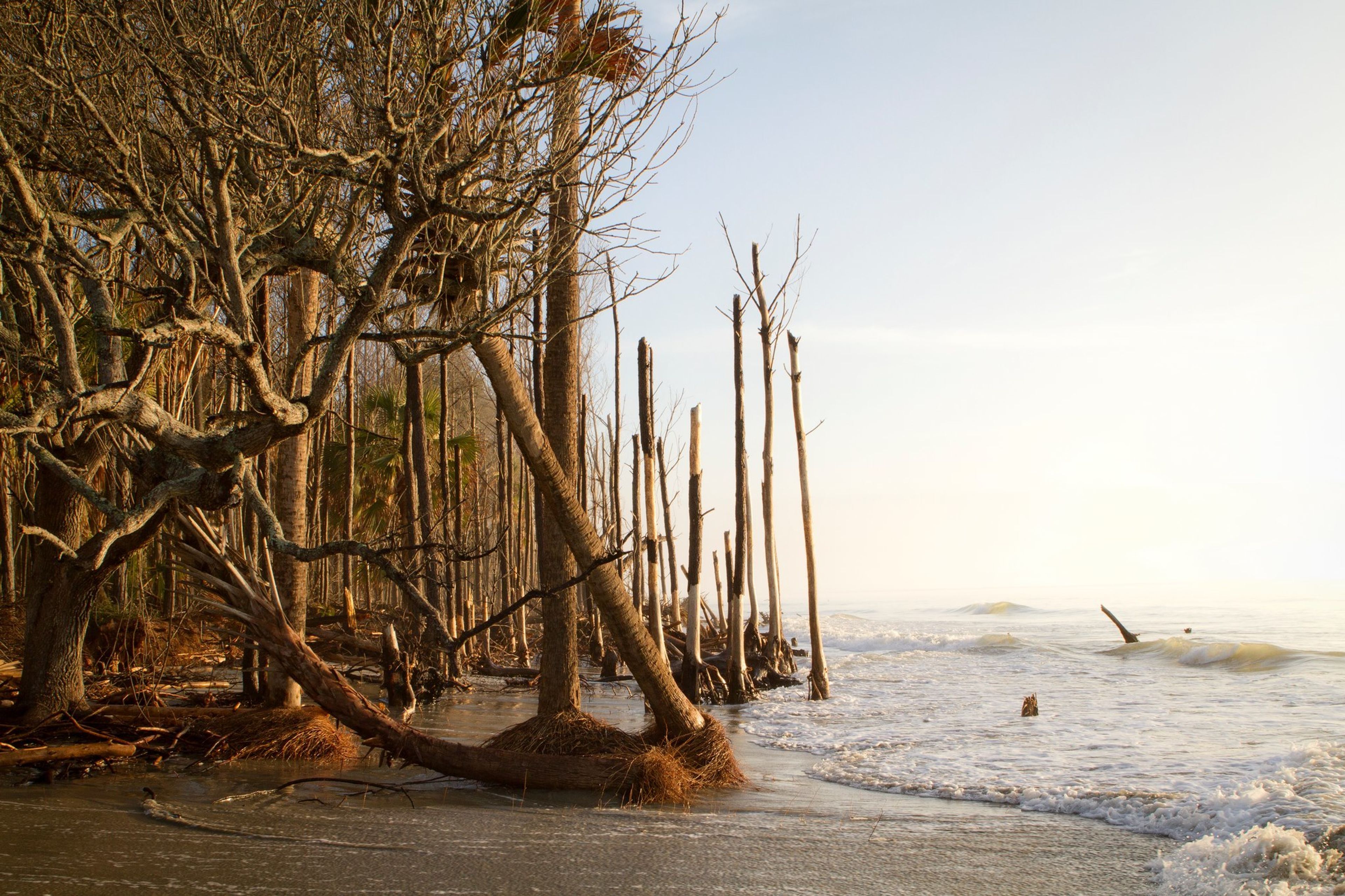 Cover photo of Boncek Images