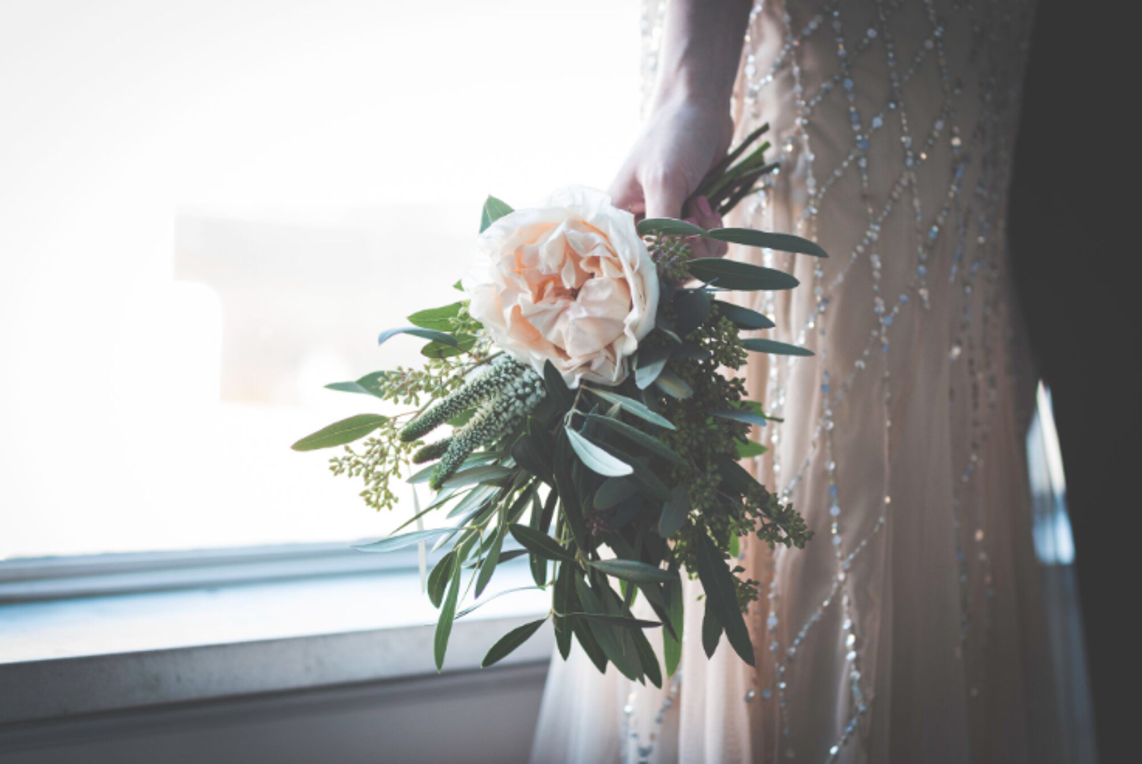 Cover photo of Above the Roots