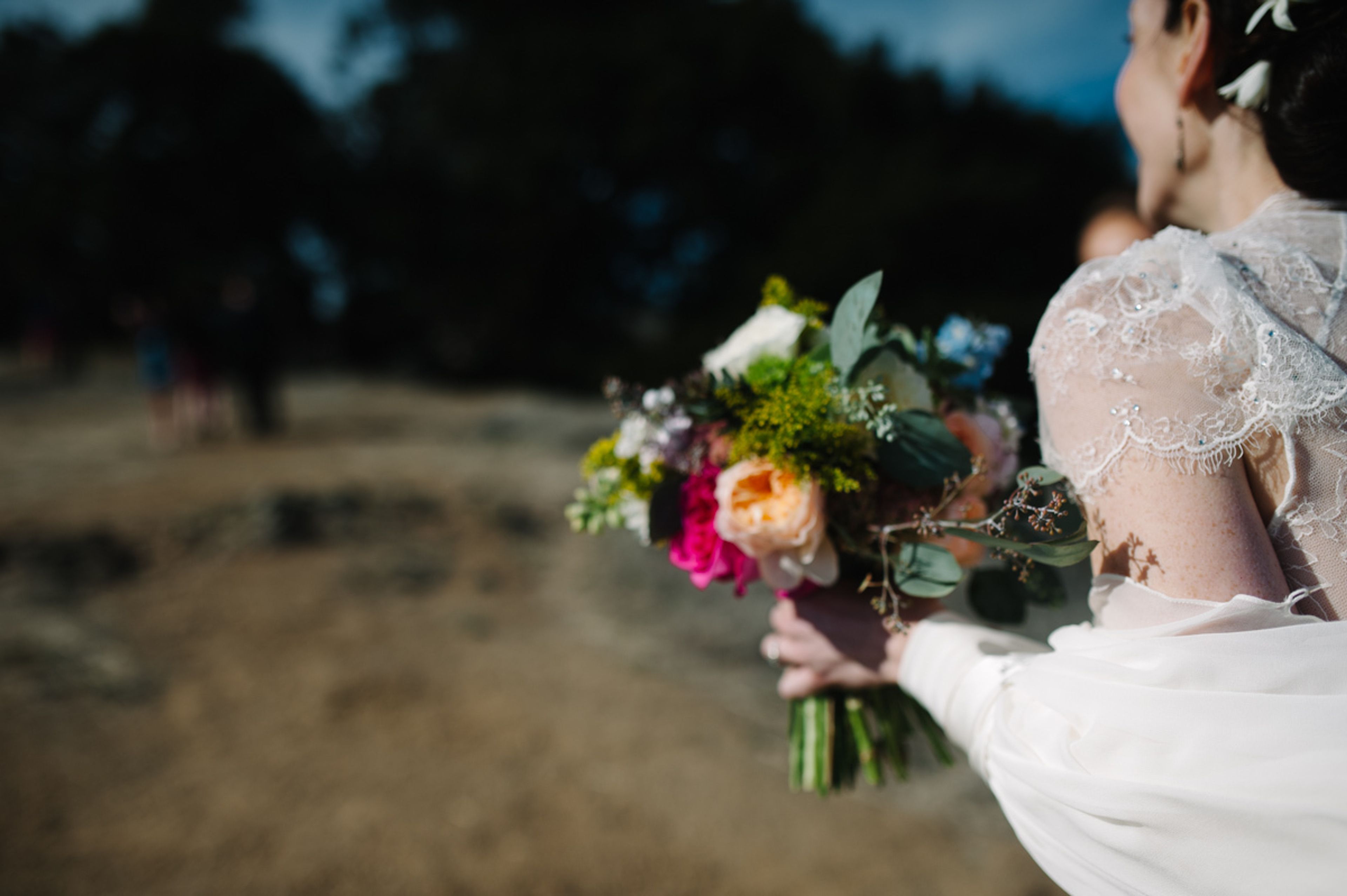 Cover photo of belle-flower