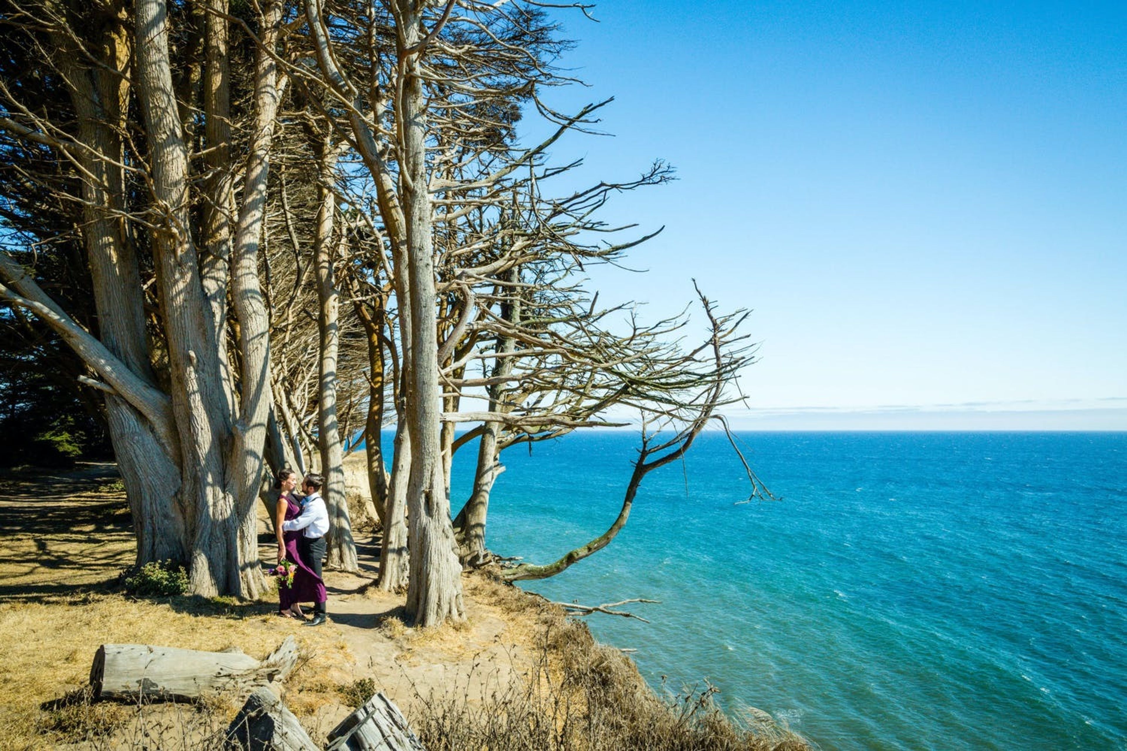 Cover photo of Danzante Events