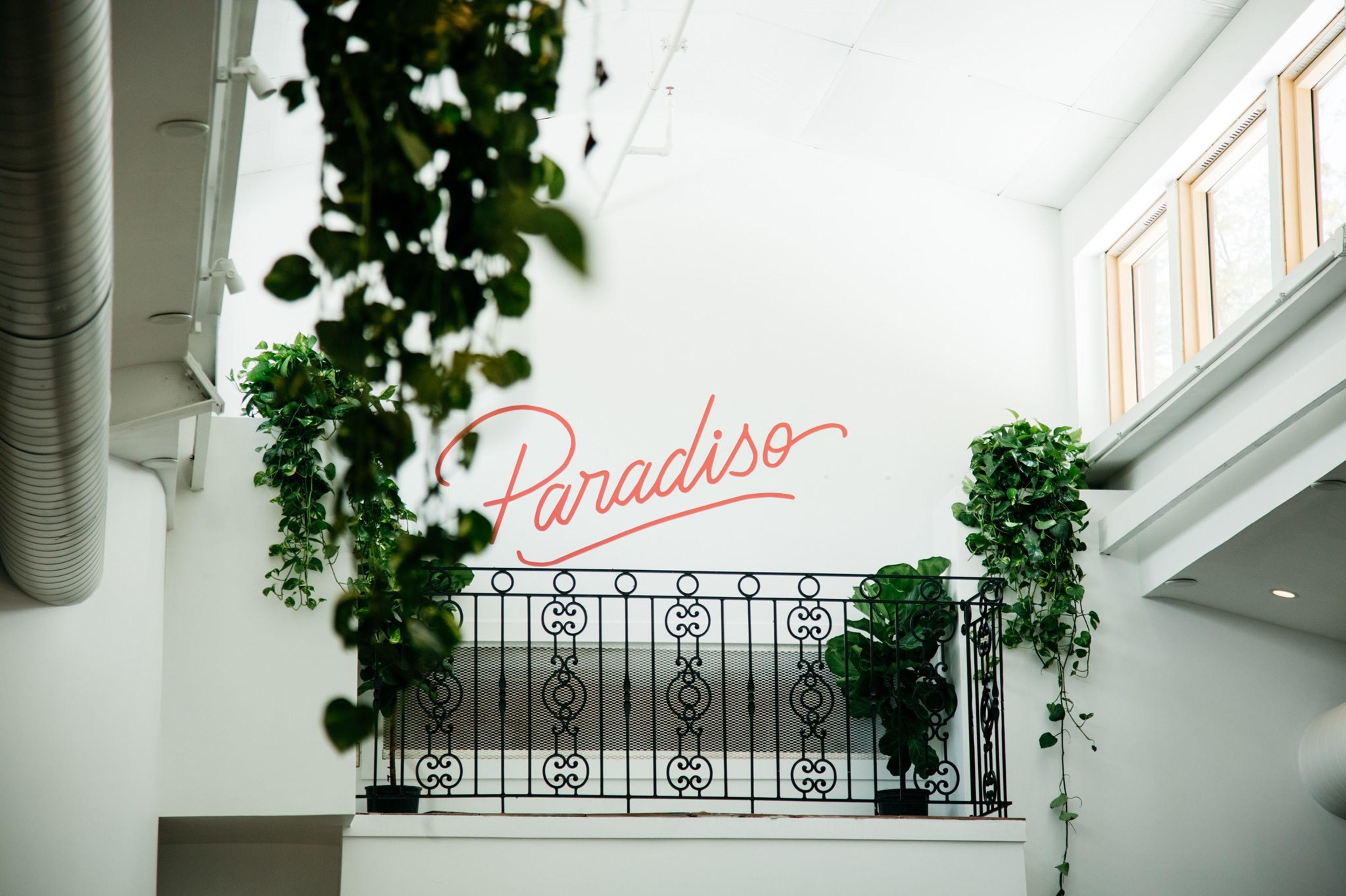 Cover photo of Paradiso