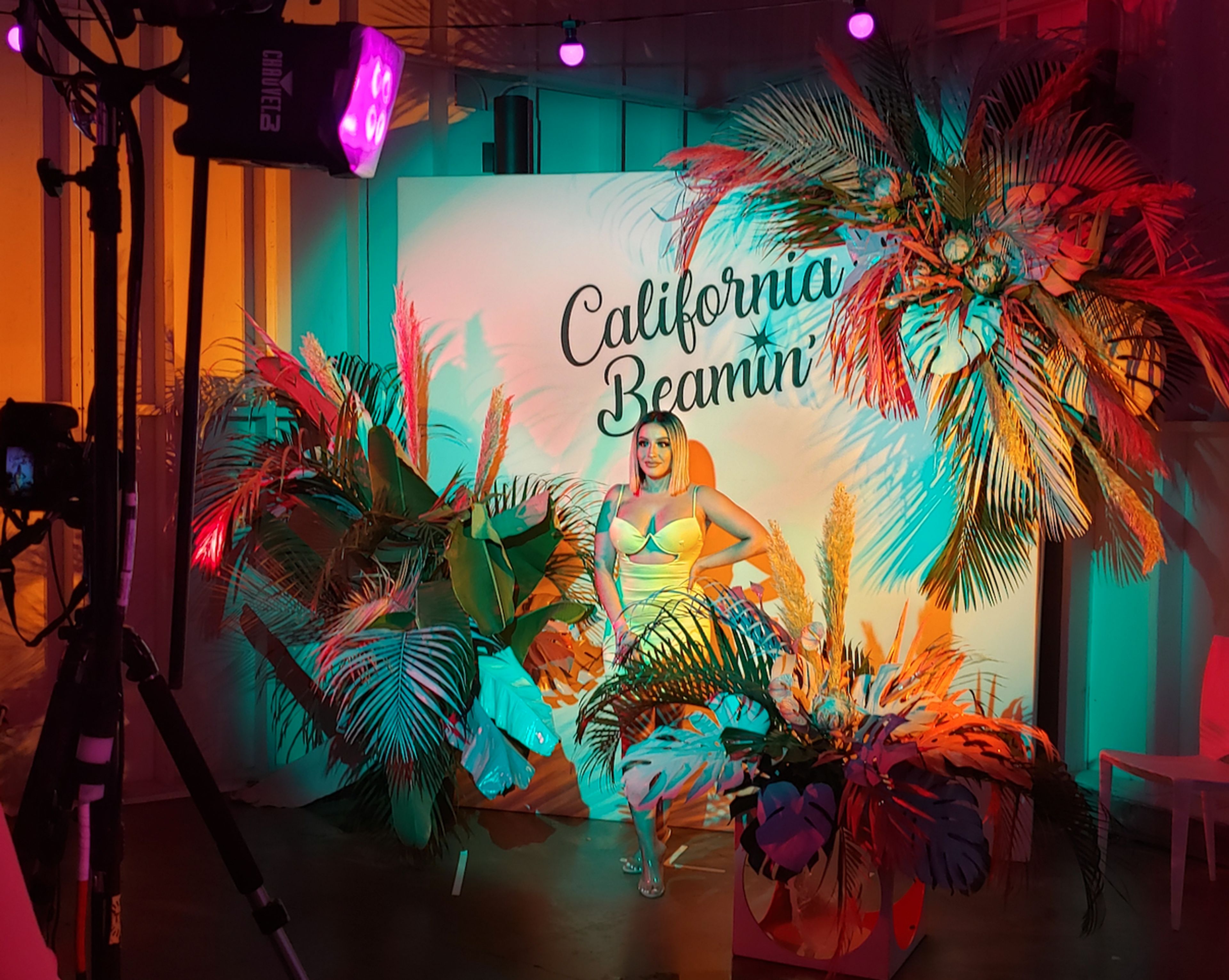 Cover photo of Skylark