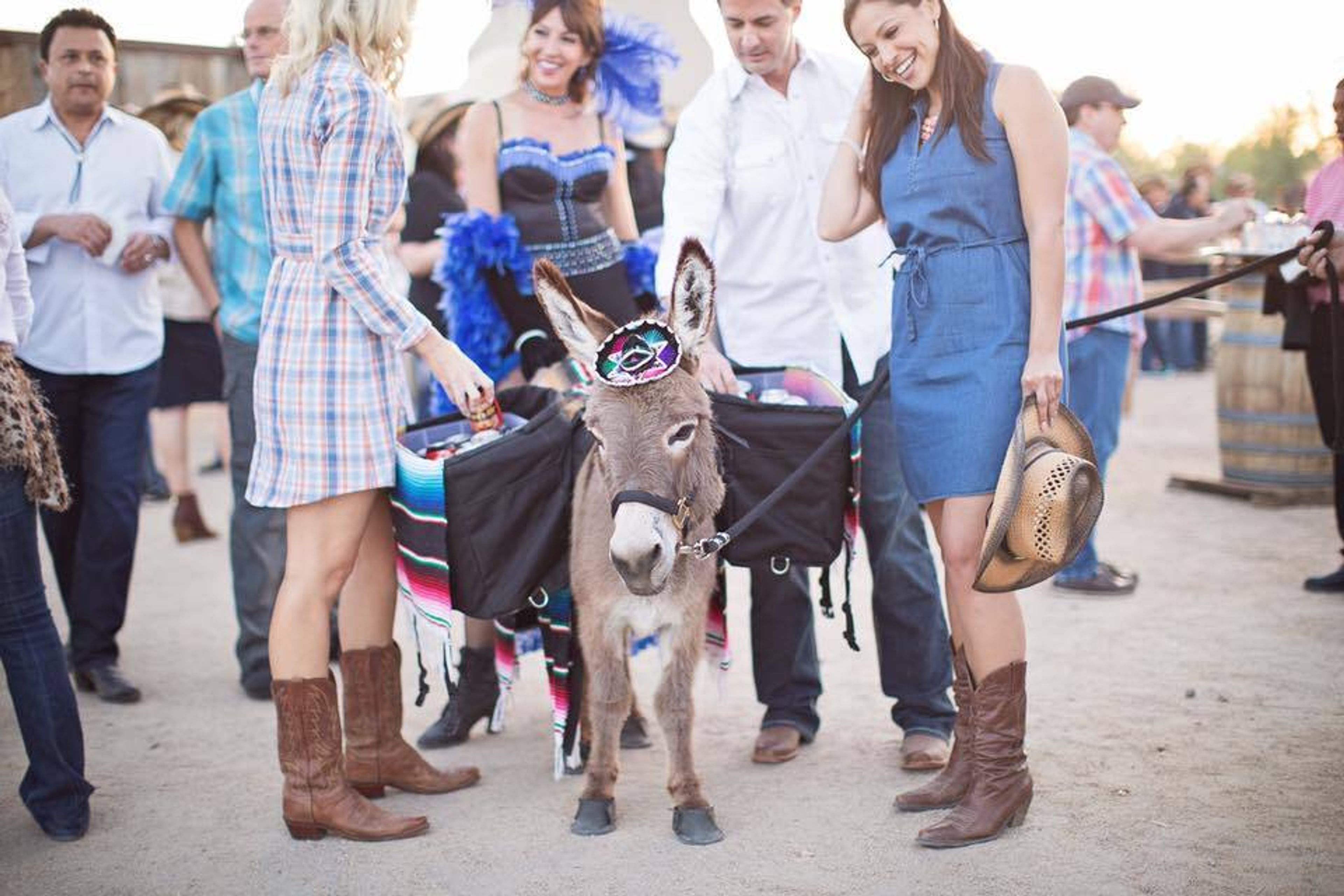 Cover photo of Walking M Farms