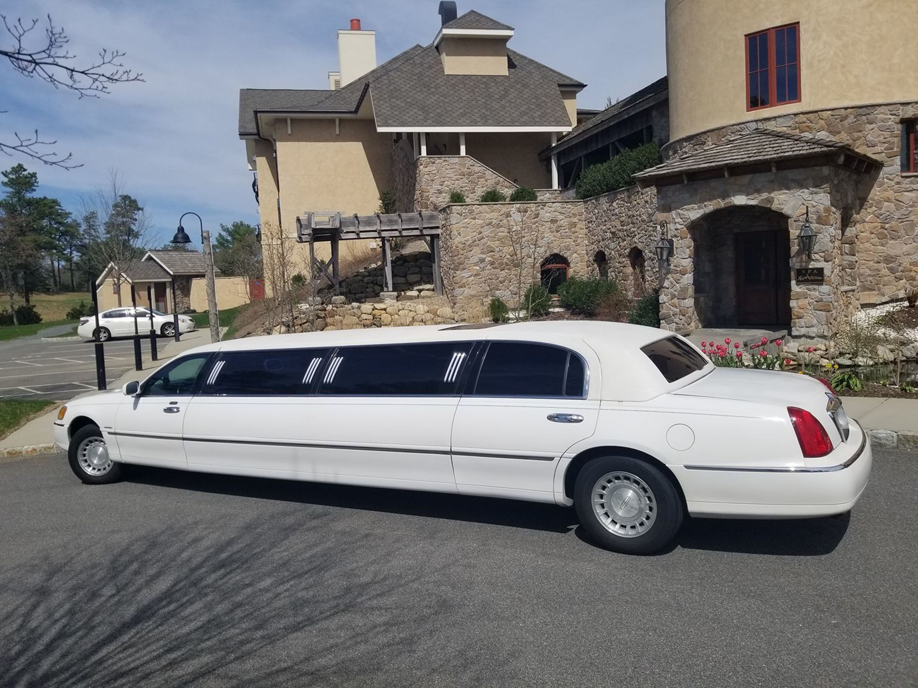 Cover photo of Stella’s Livery Service