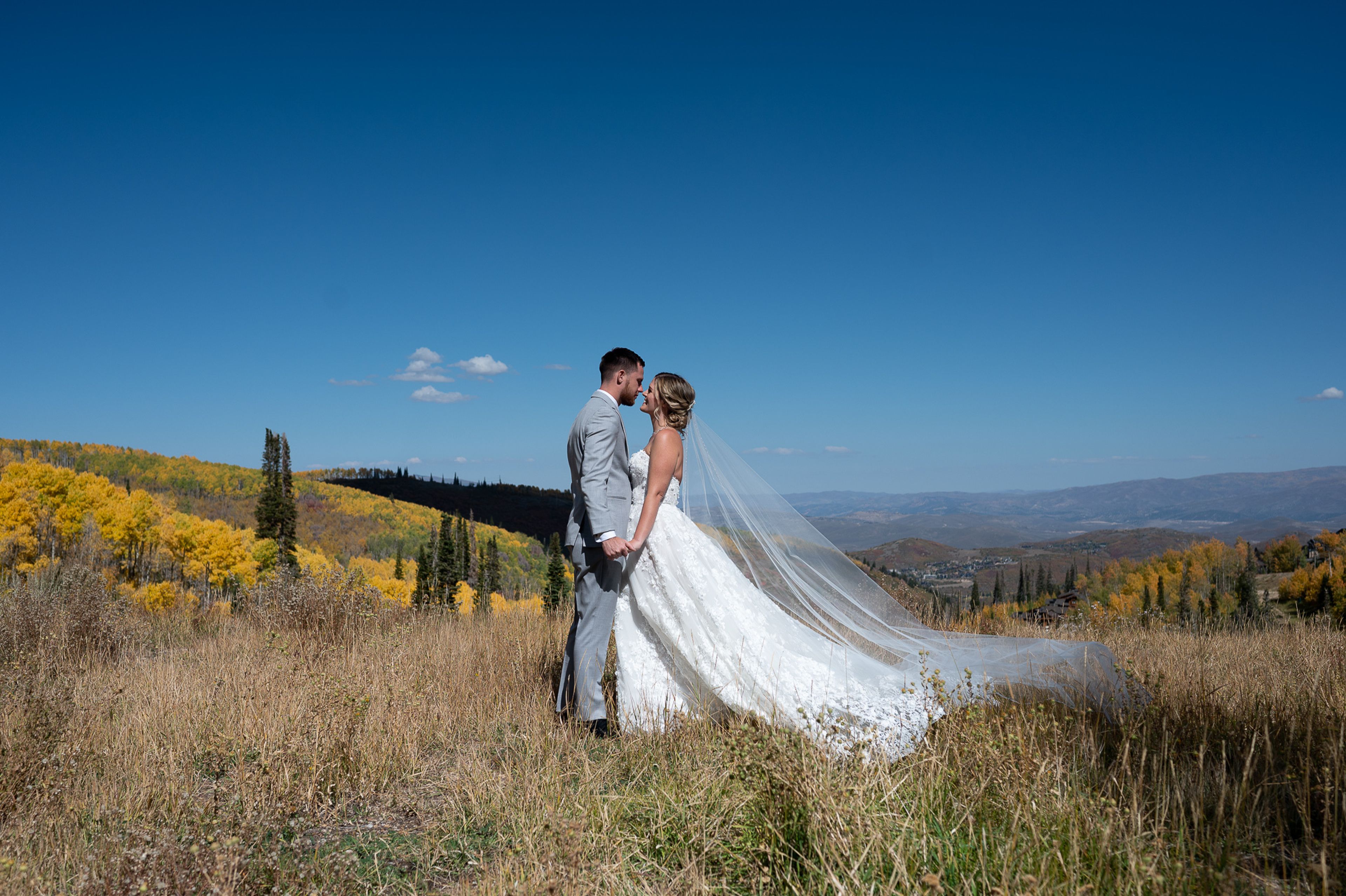 Cover photo of Anne Schmidt Photography