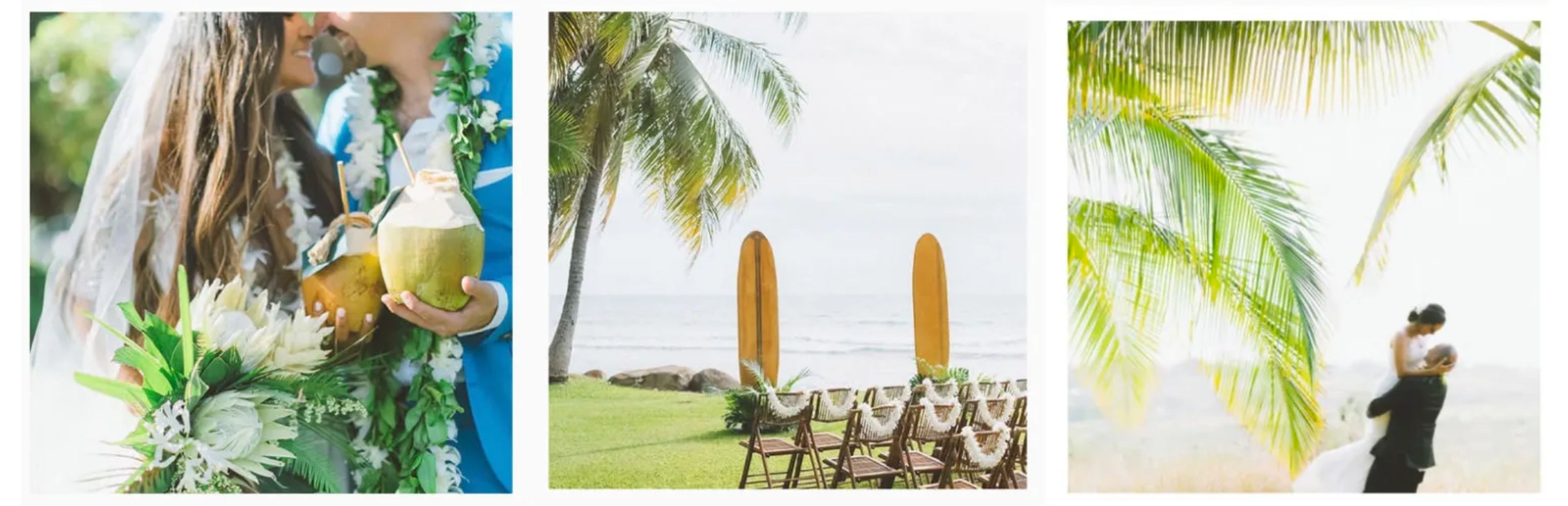 Cover photo of Angie Diaz | Photography