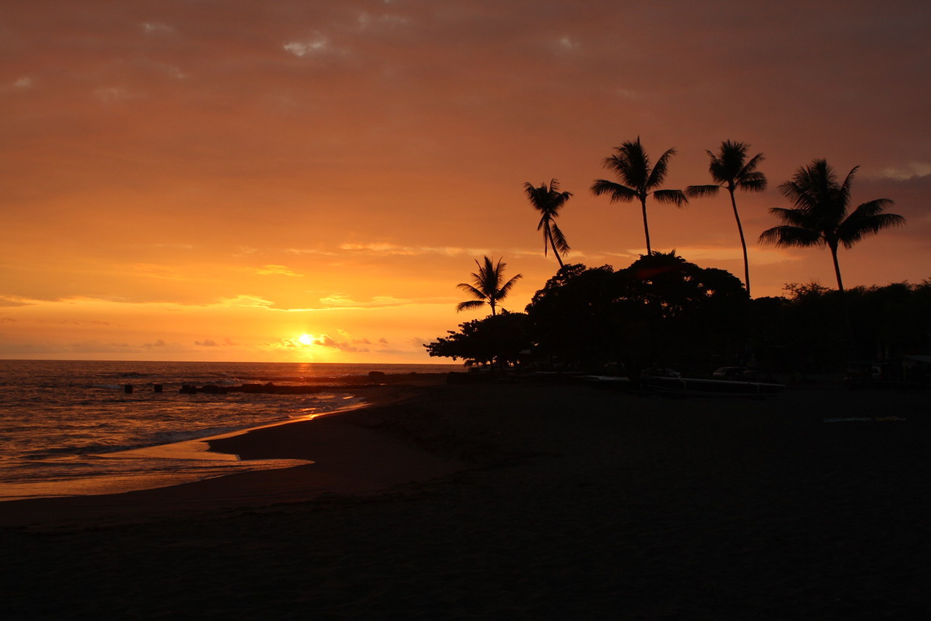 Cover photo of Elysian Global Events