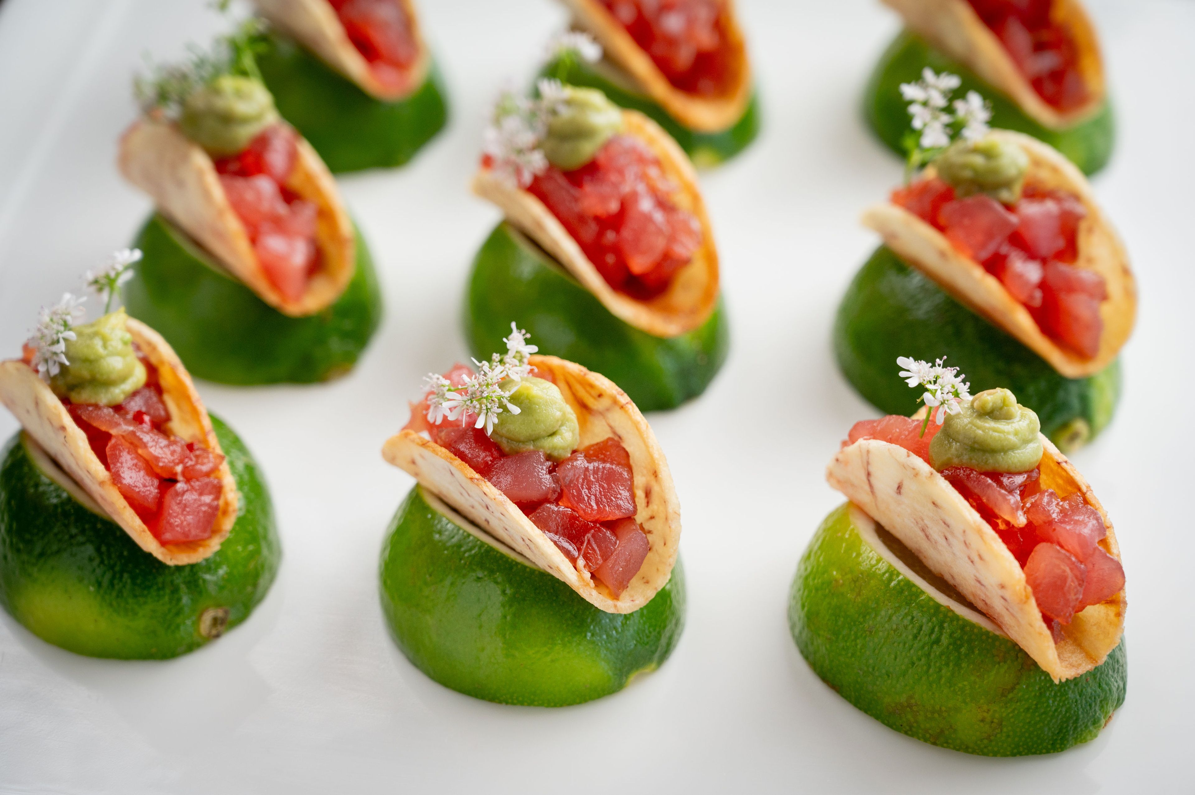 Cover photo of Blue Plate