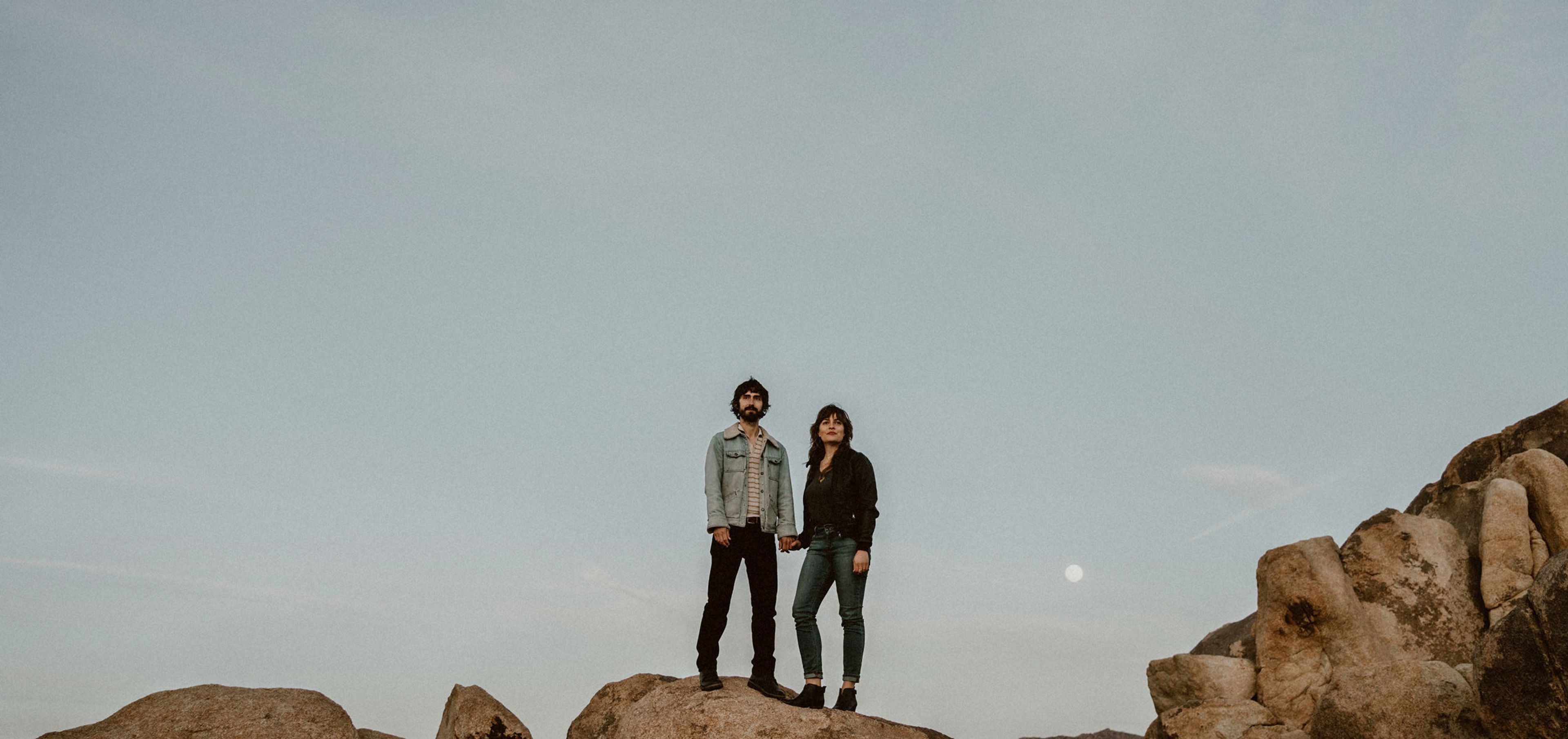 Cover photo of The Quail & The Dove