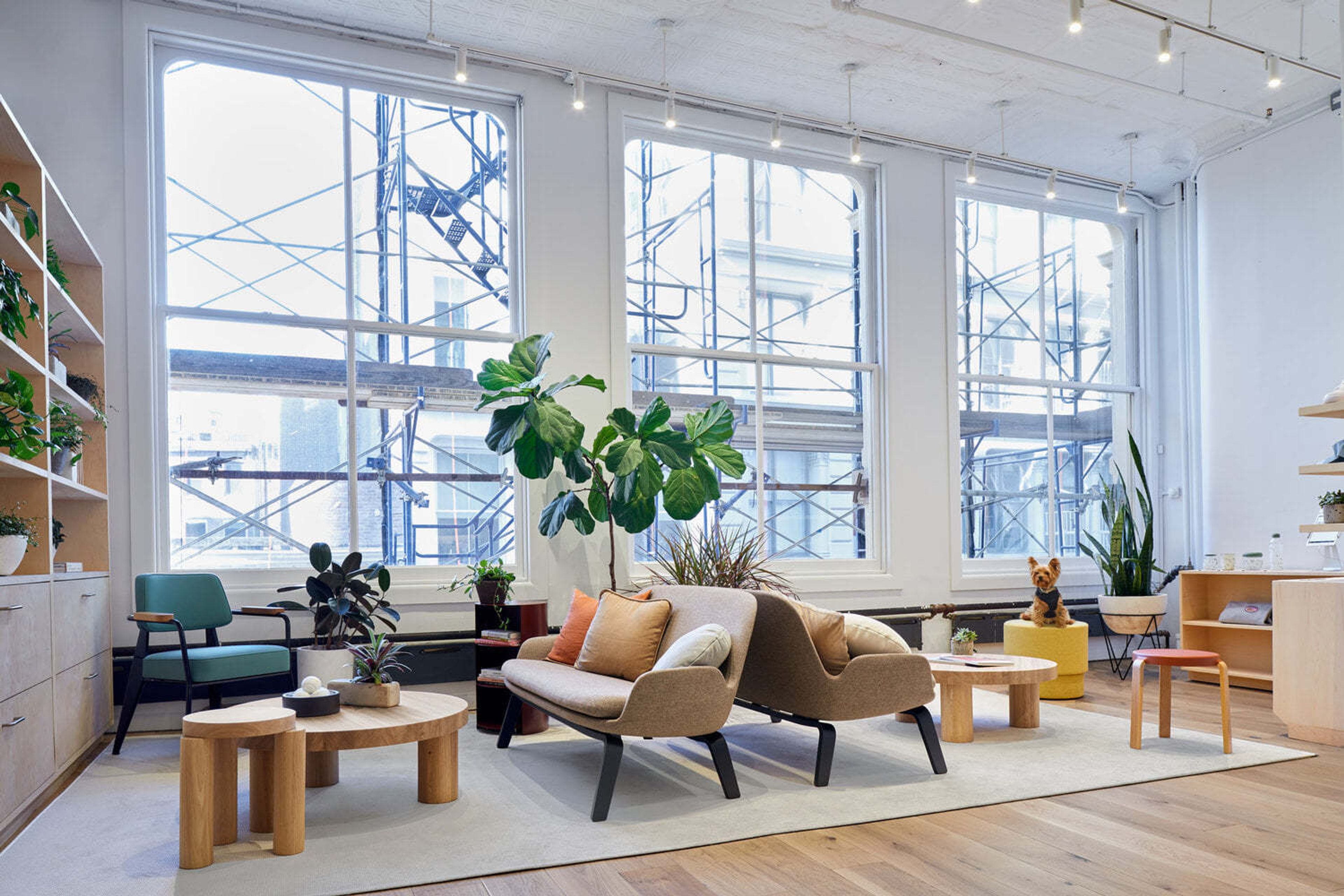 Cover photo of Soho Lofts